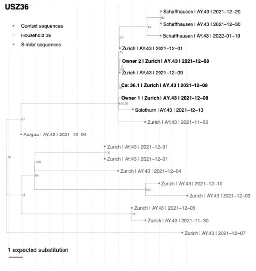 Viruses 15 00245 g0a5