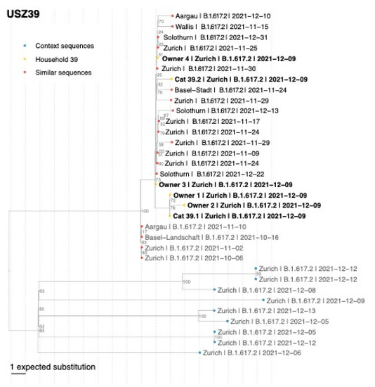 Viruses 15 00245 g0a6