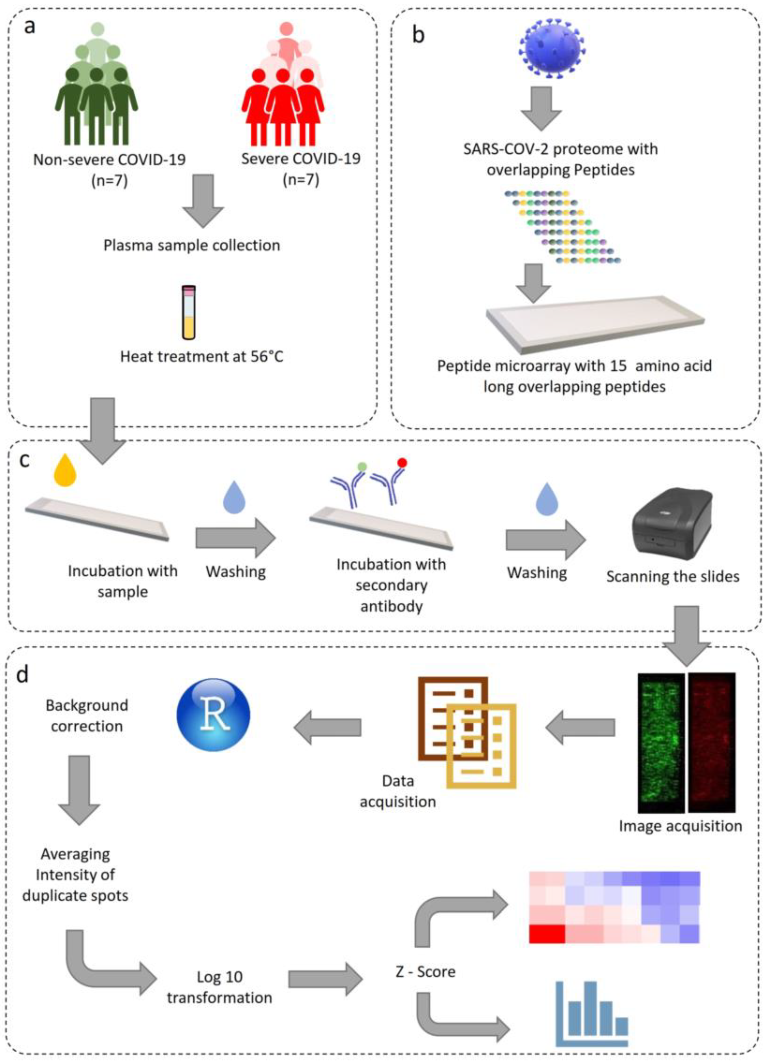Viruses 15 00248 g001