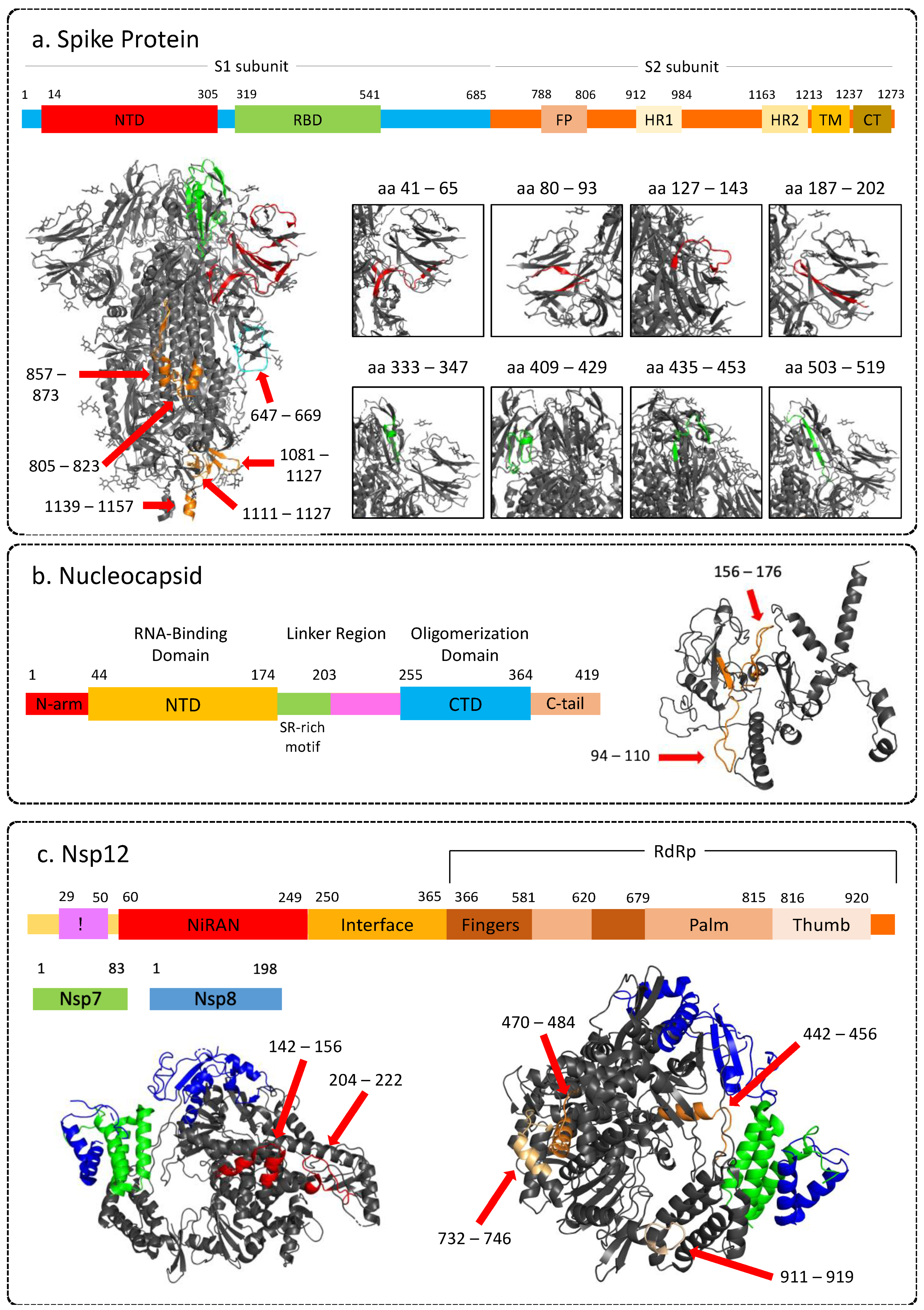 Viruses 15 00248 g005