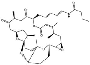 Viruses 15 00250 i006 Viruses 15 00250 i006