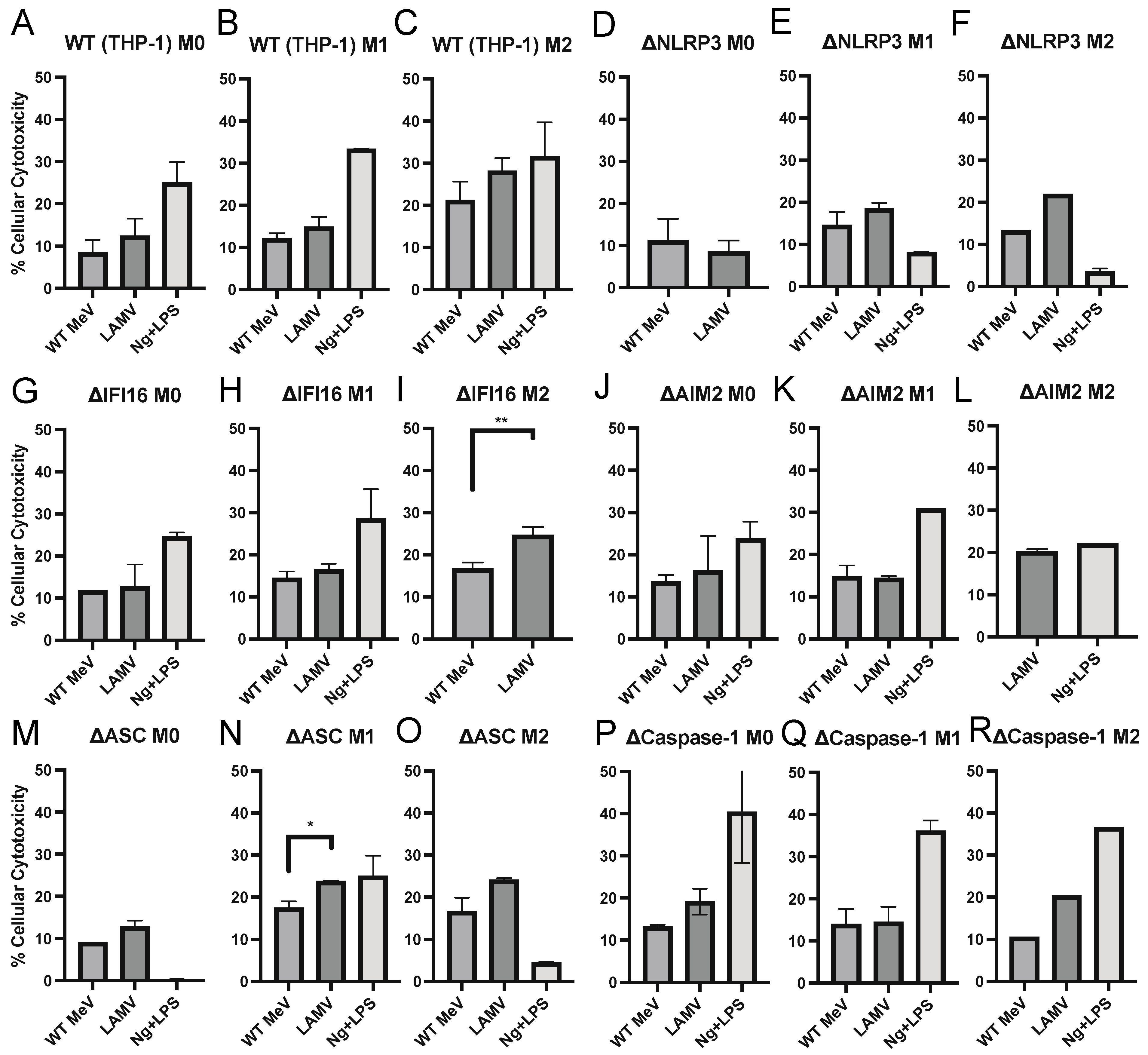 Viruses 15 00260 g005