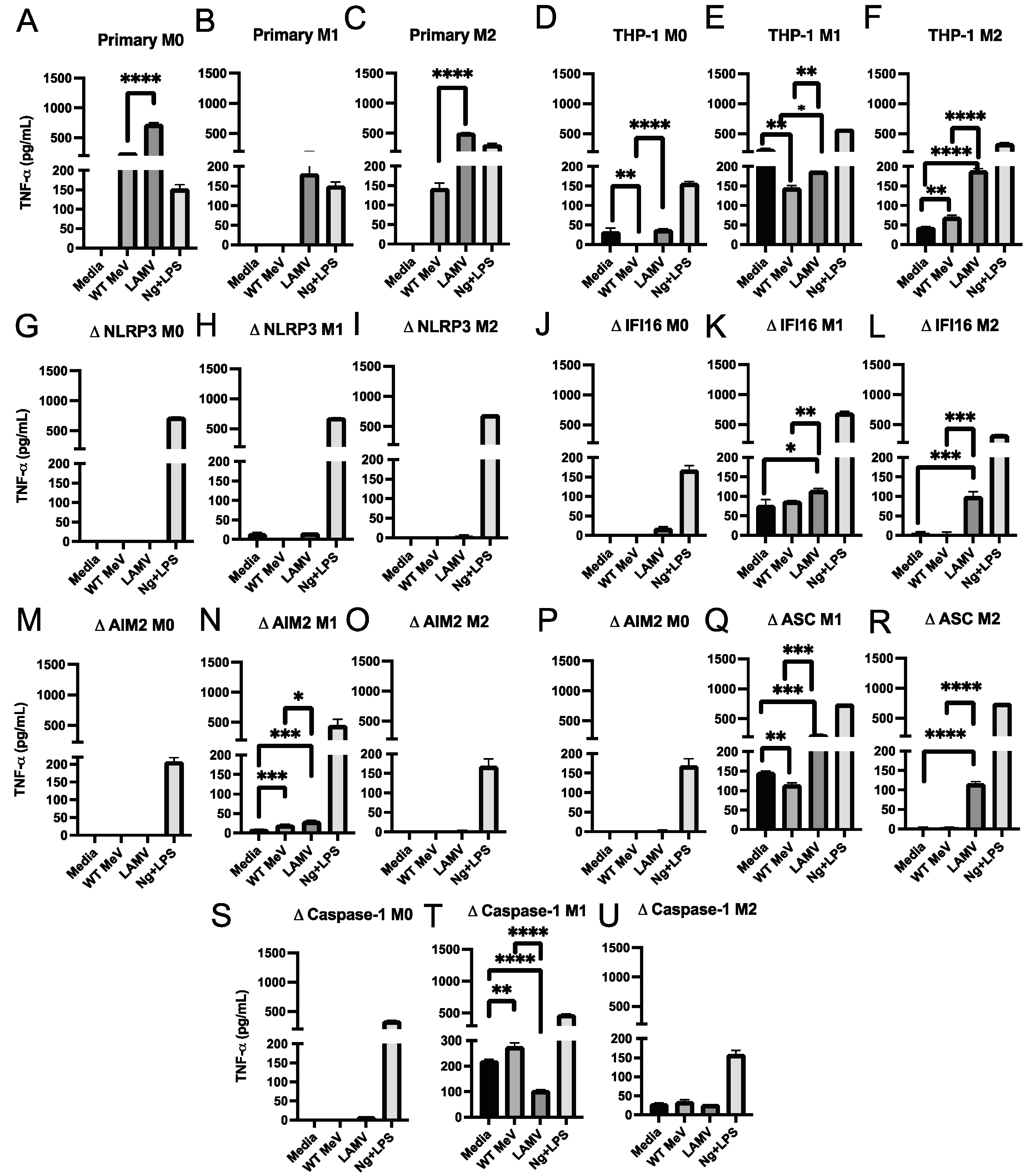 Viruses 15 00260 g006