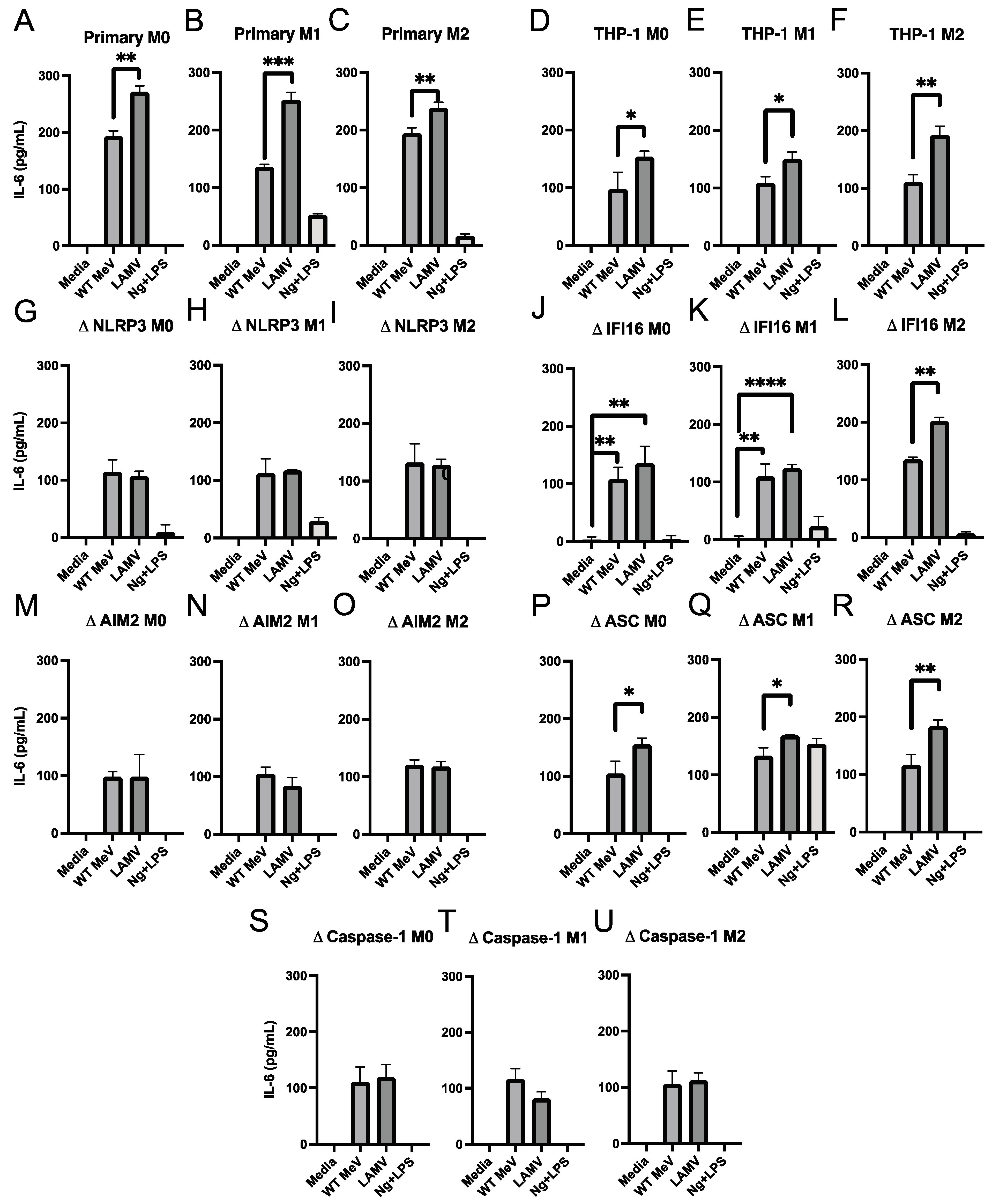 Viruses 15 00260 g007
