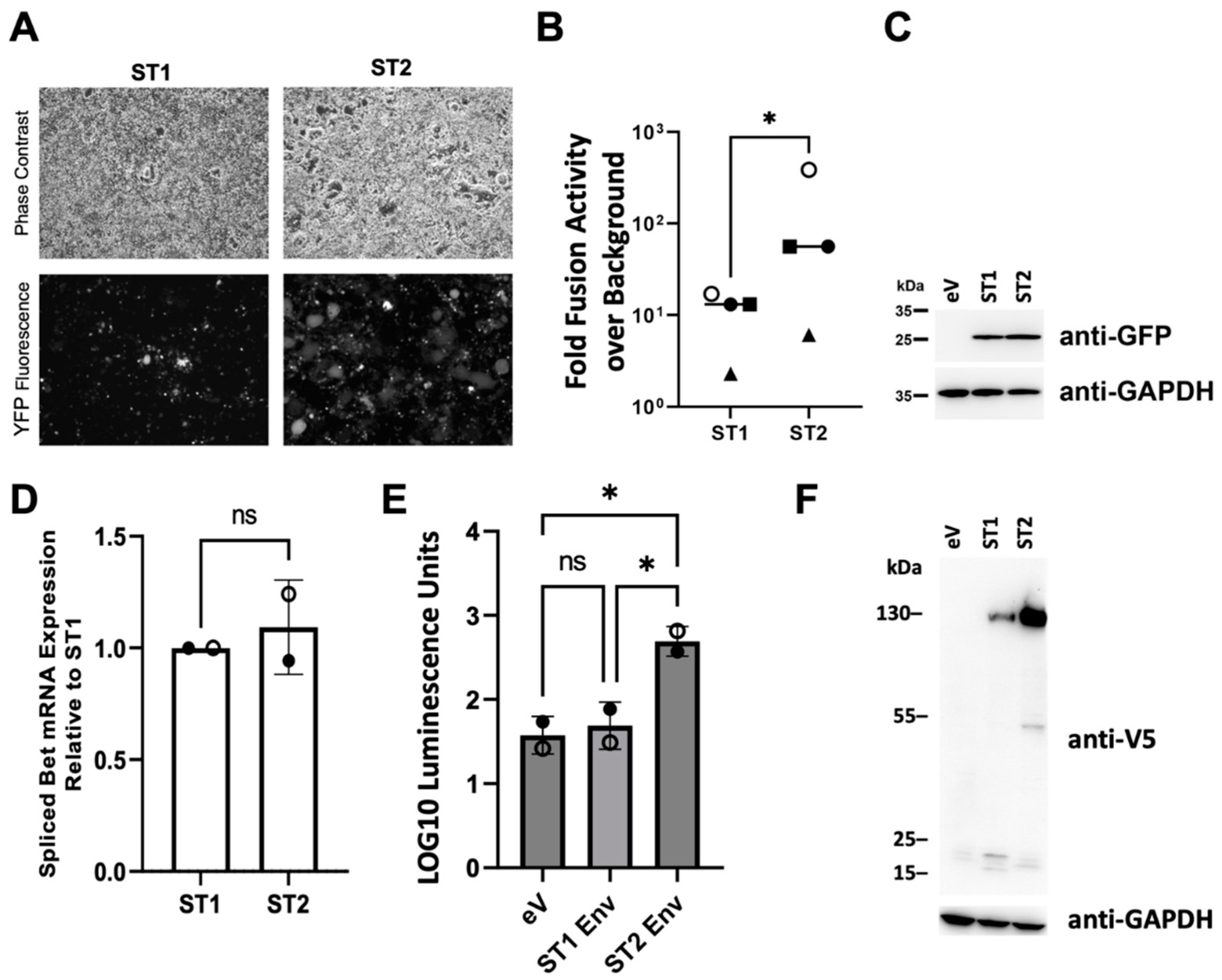 Viruses 15 00262 g003 Viruses 15 00262 g003
