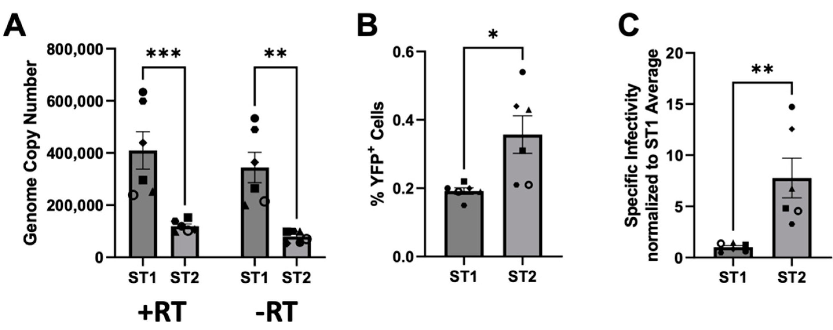 Viruses 15 00262 g006 Viruses 15 00262 g006