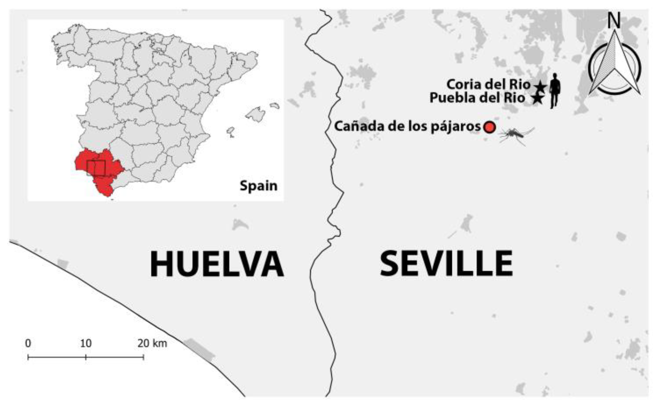 Viruses 15 00266 g001