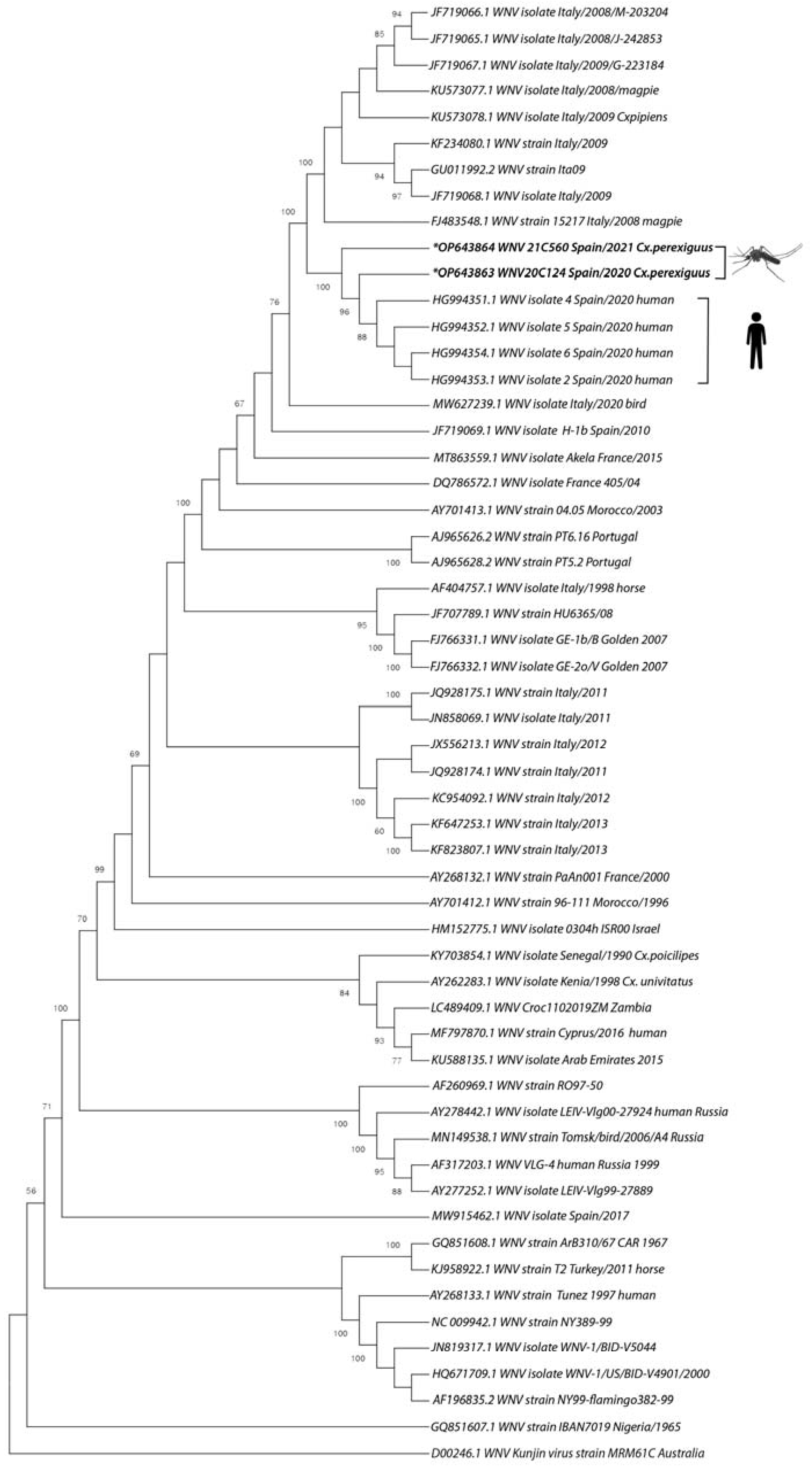 Viruses 15 00266 g002