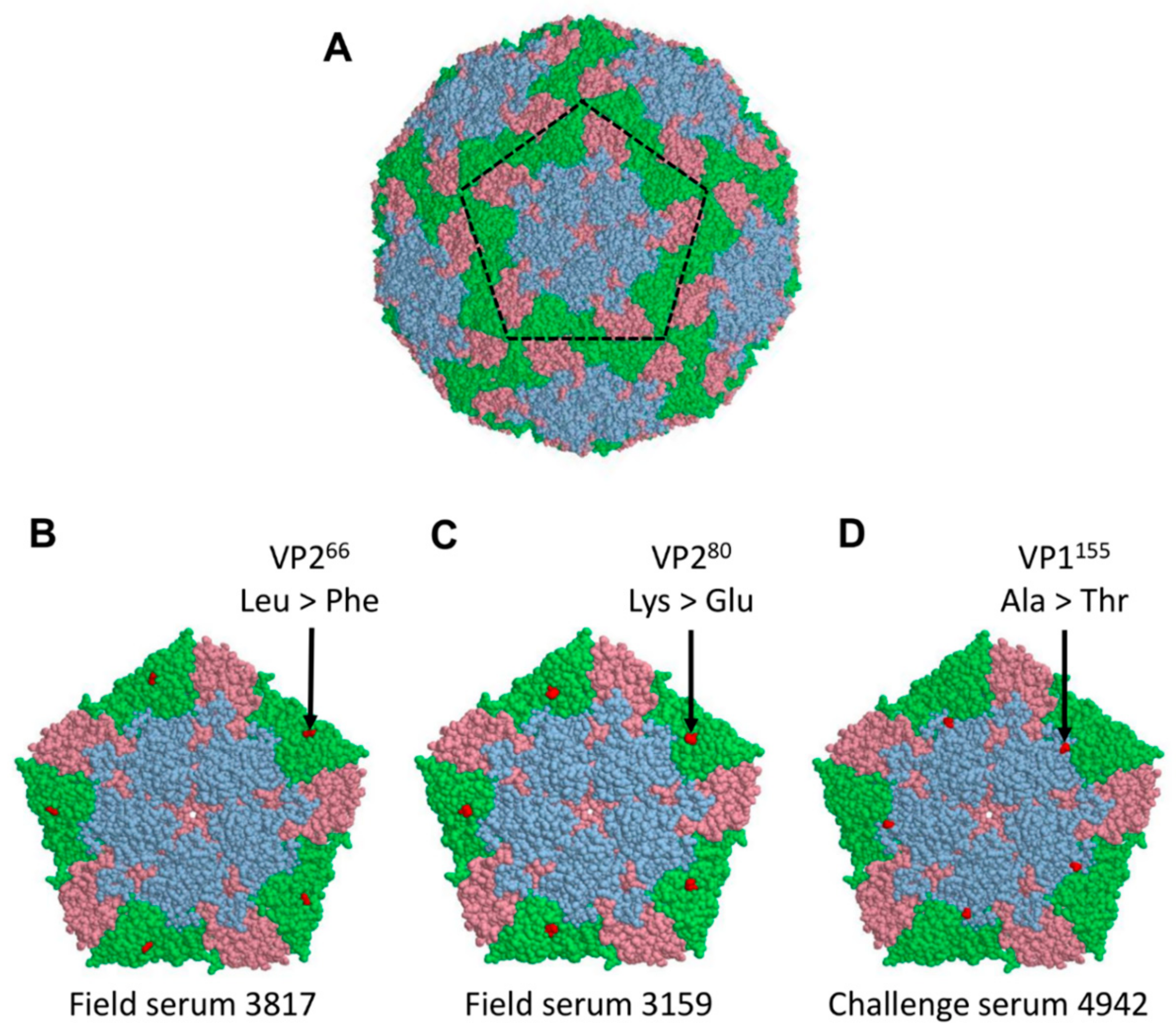 Viruses 15 00269 g001