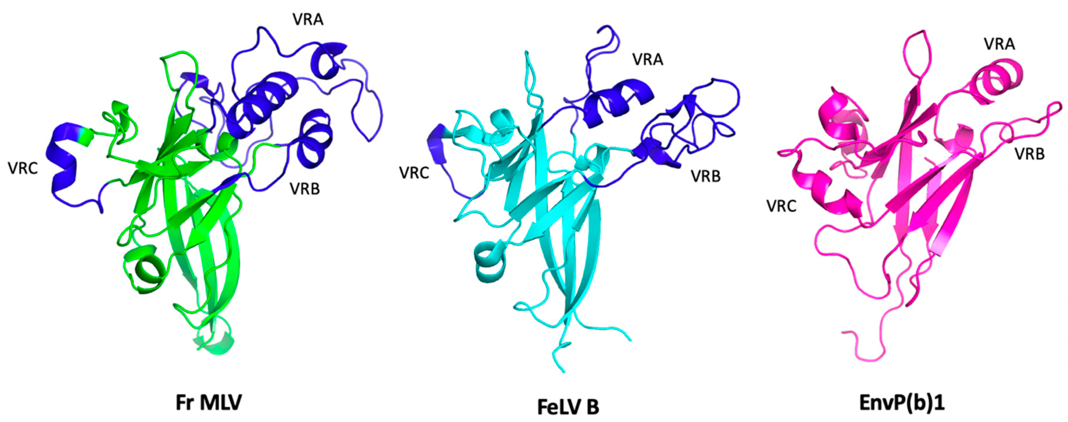 Viruses 15 00274 g003 Viruses 15 00274 g003