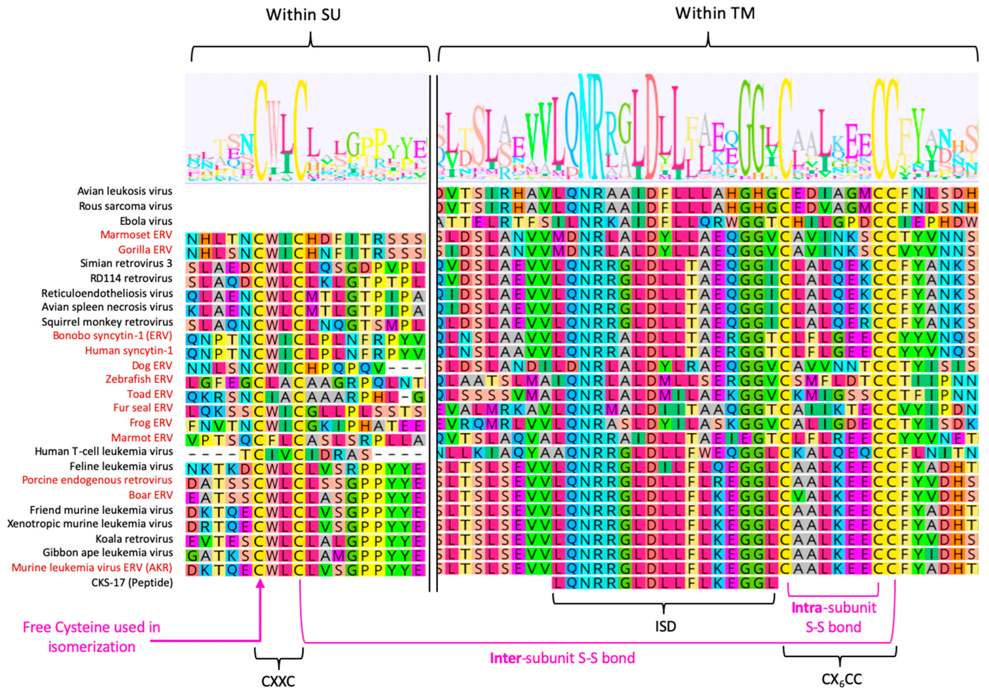 Viruses 15 00274 g005 Viruses 15 00274 g005