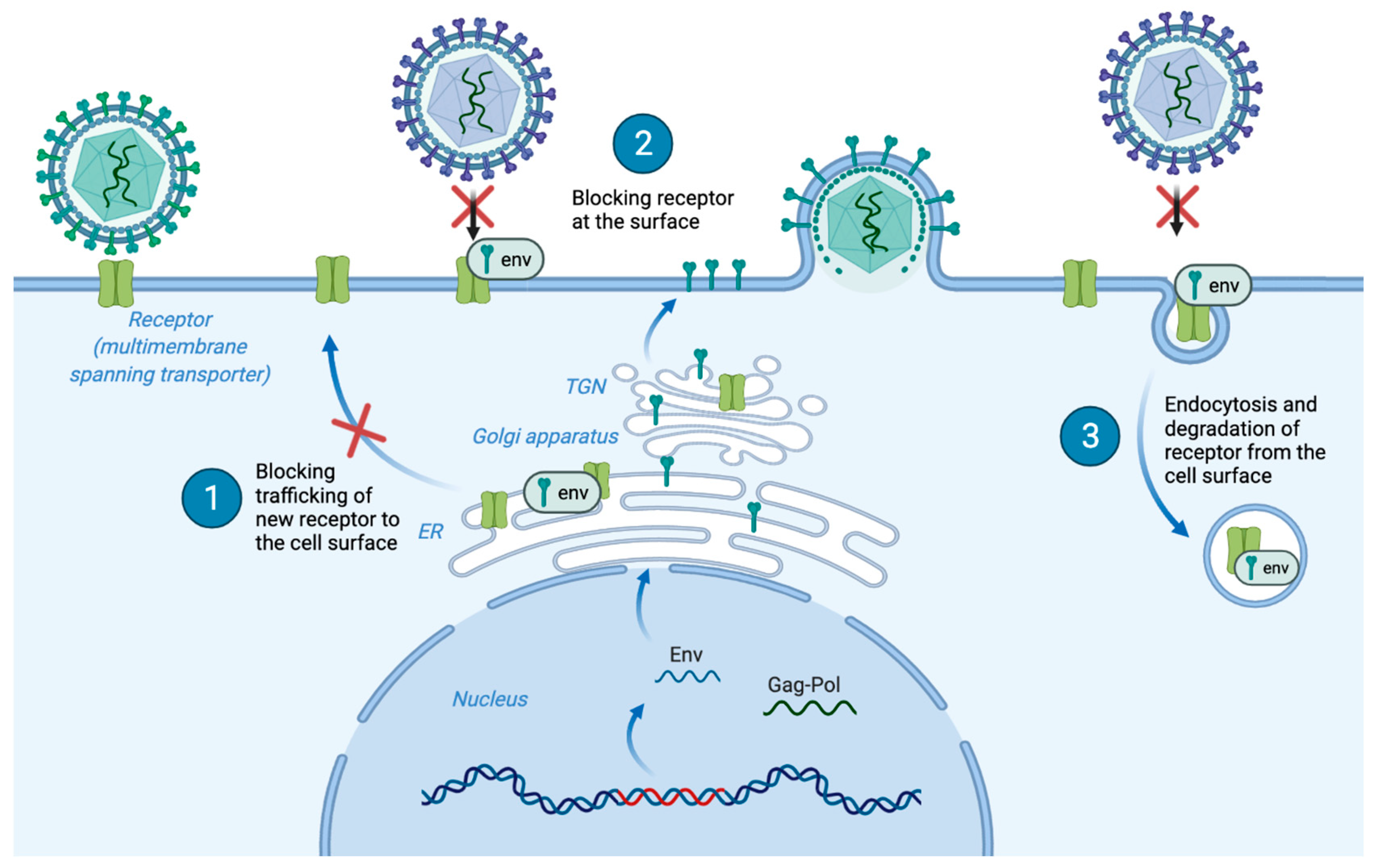 Viruses 15 00274 g006 Viruses 15 00274 g006