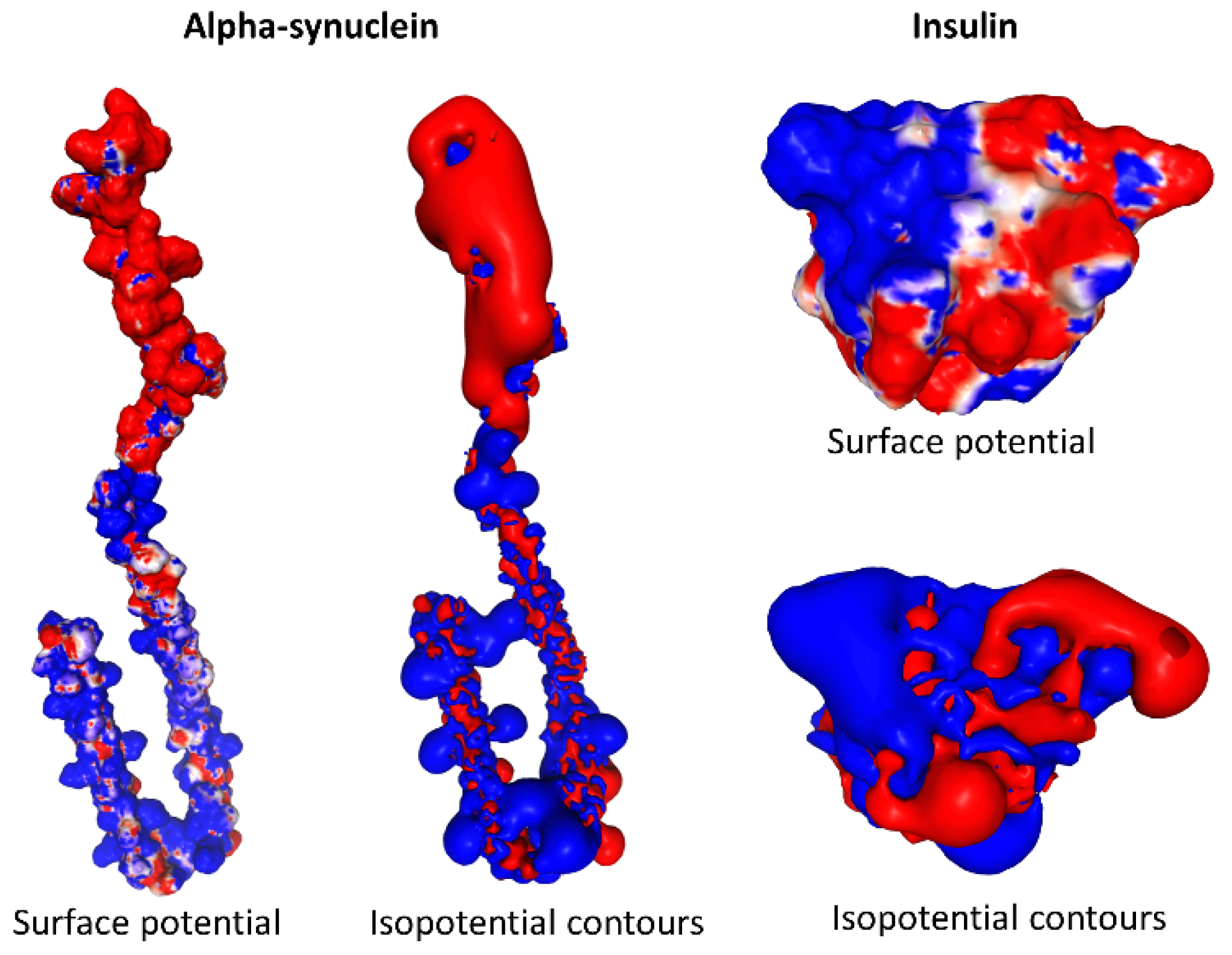 Viruses 15 00284 g002