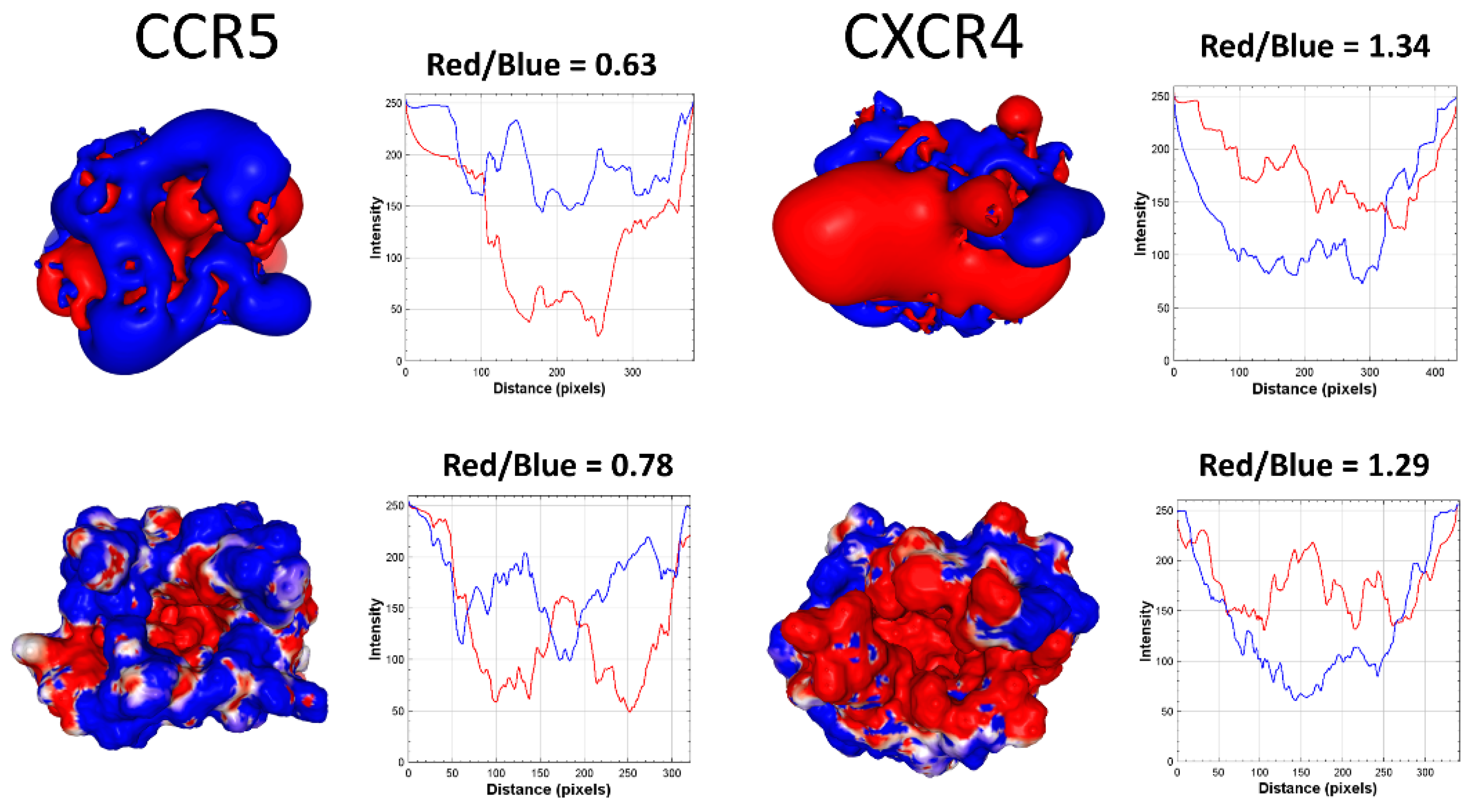 Viruses 15 00284 g005