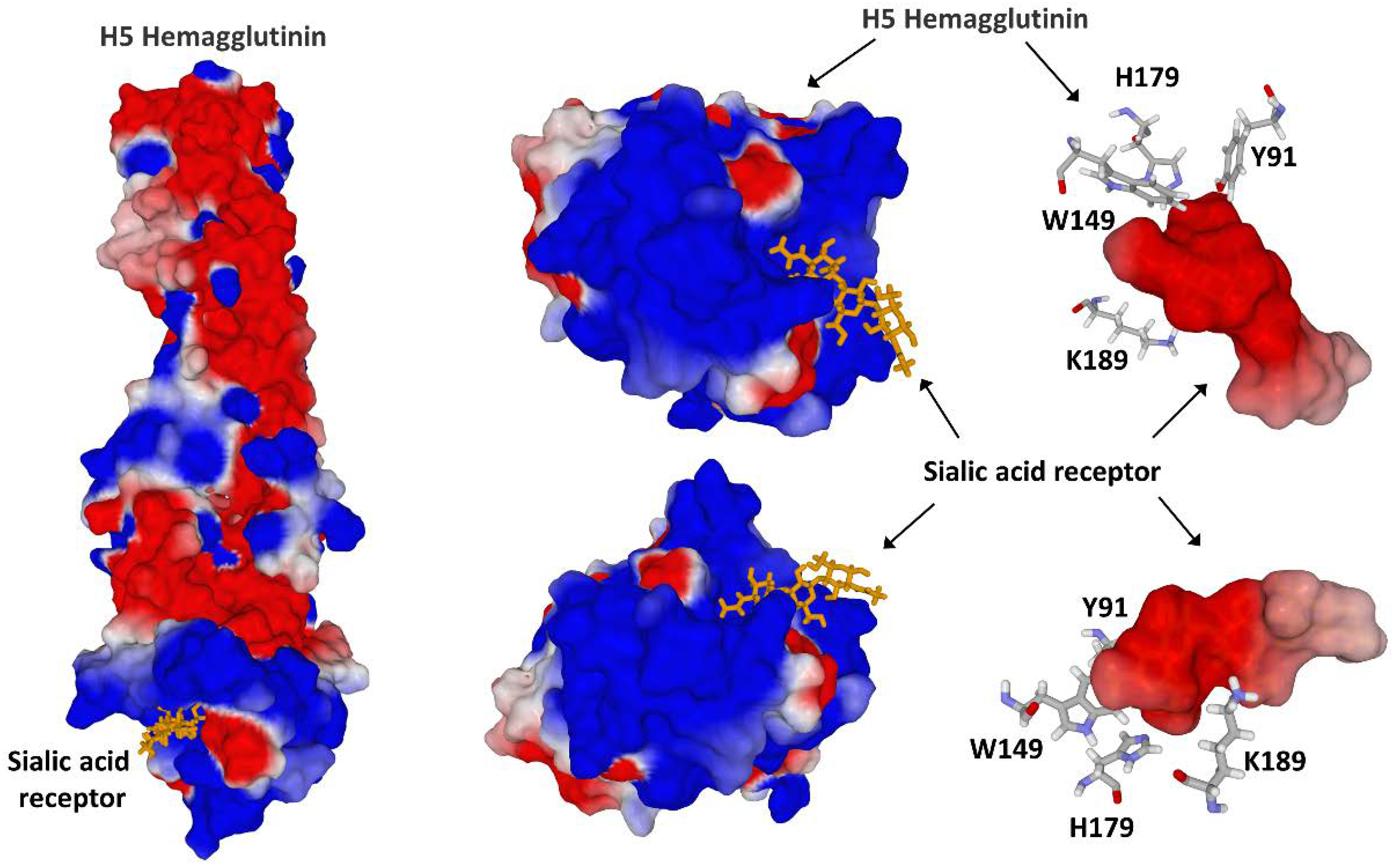 Viruses 15 00284 g007
