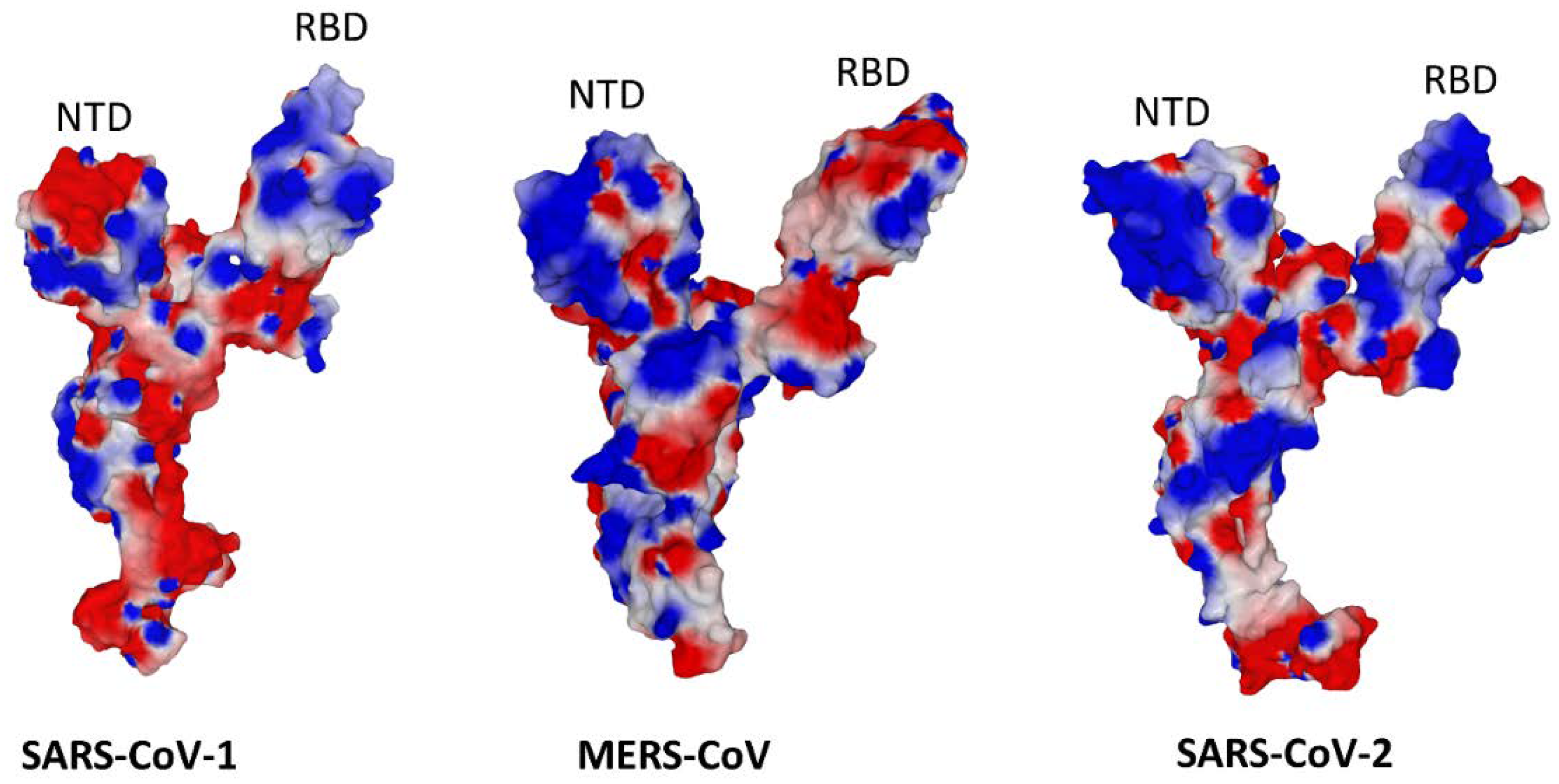 Viruses 15 00284 g008