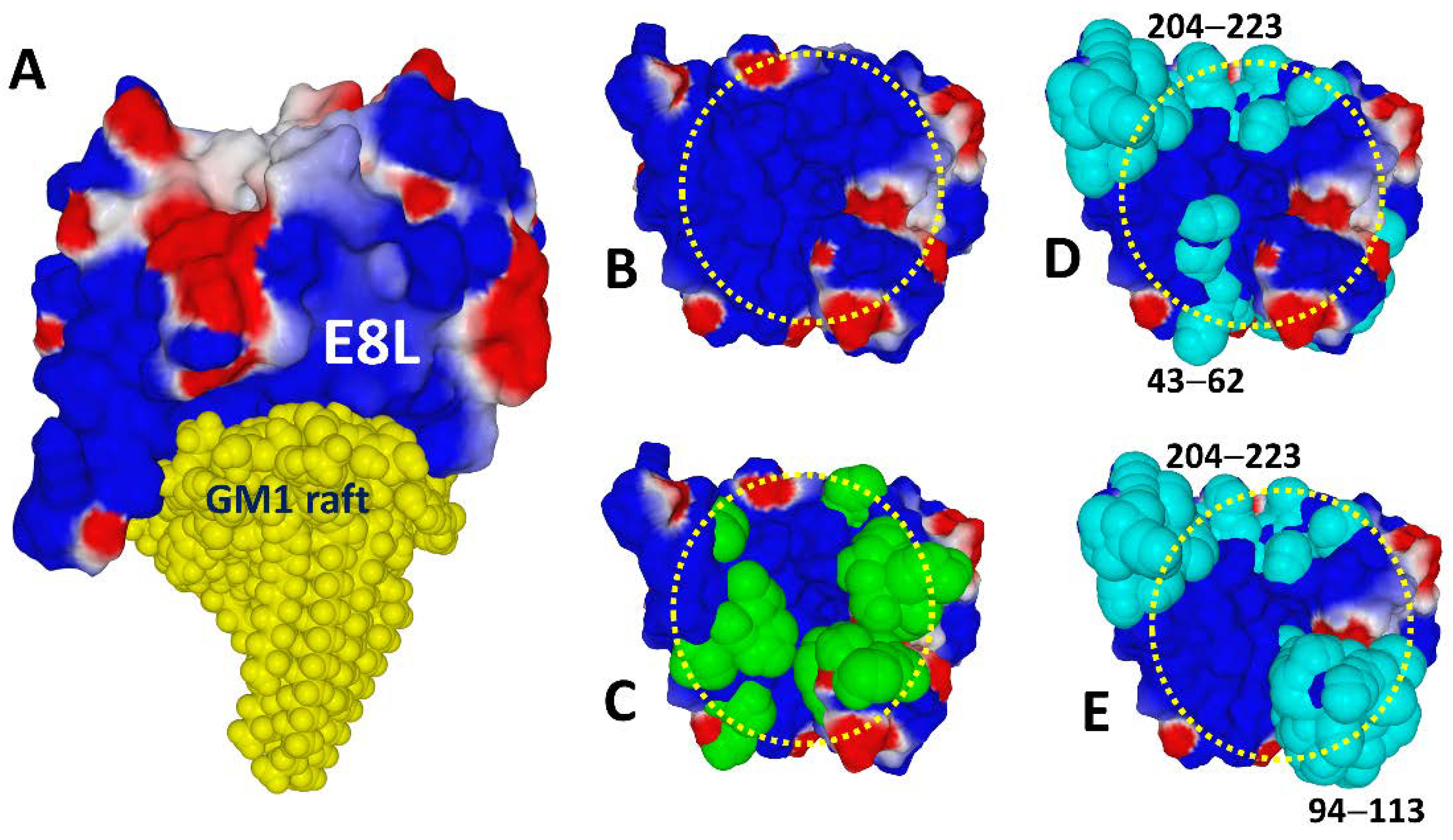 Viruses 15 00284 g010