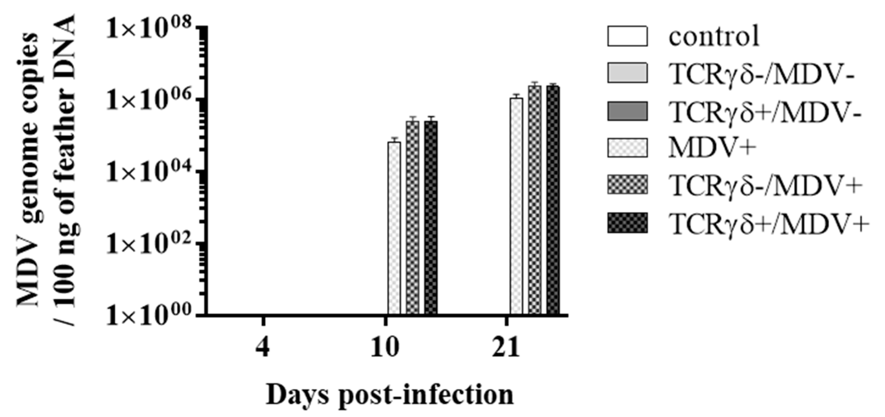 Viruses 15 00285 g004