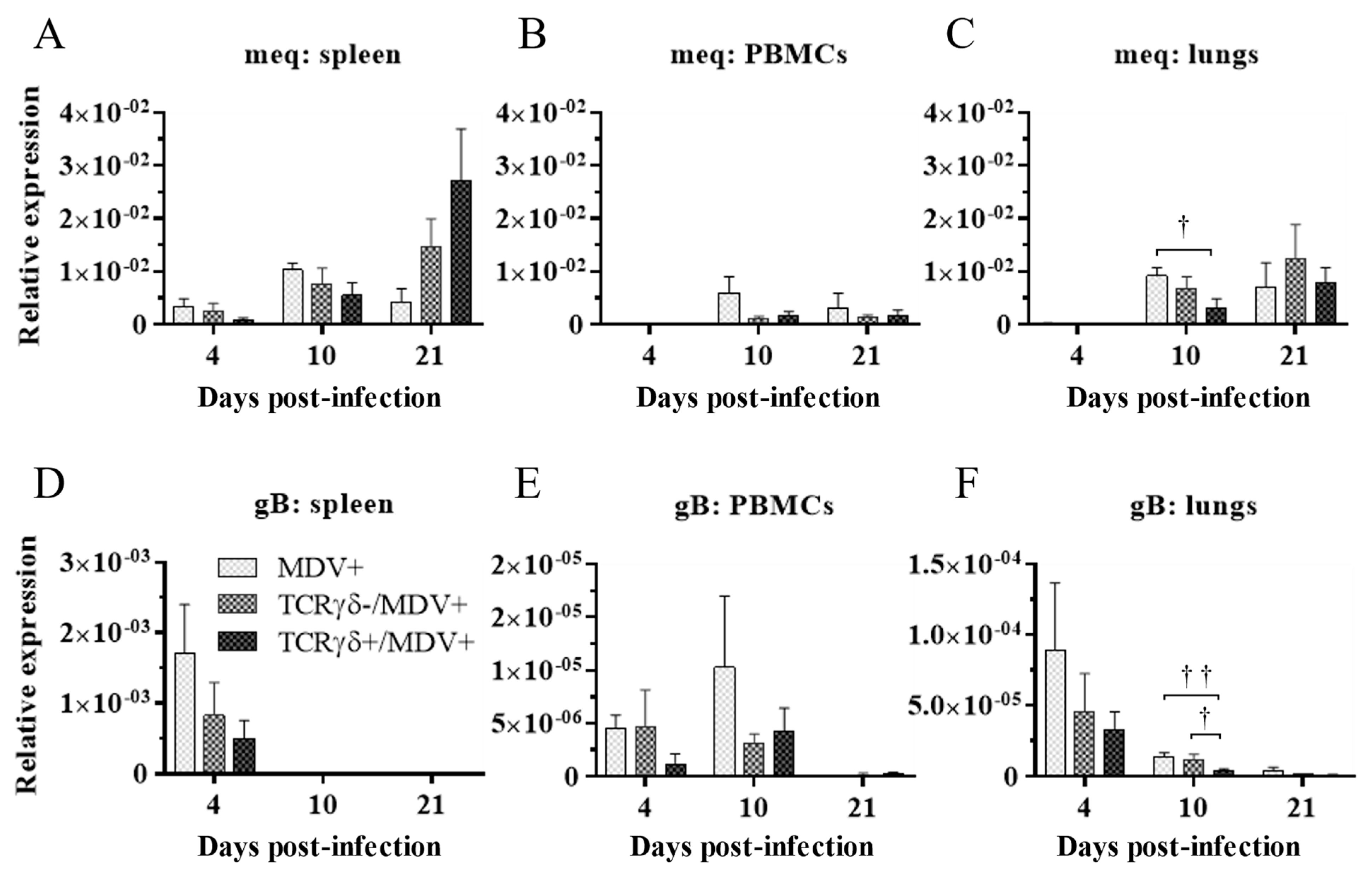 Viruses 15 00285 g005