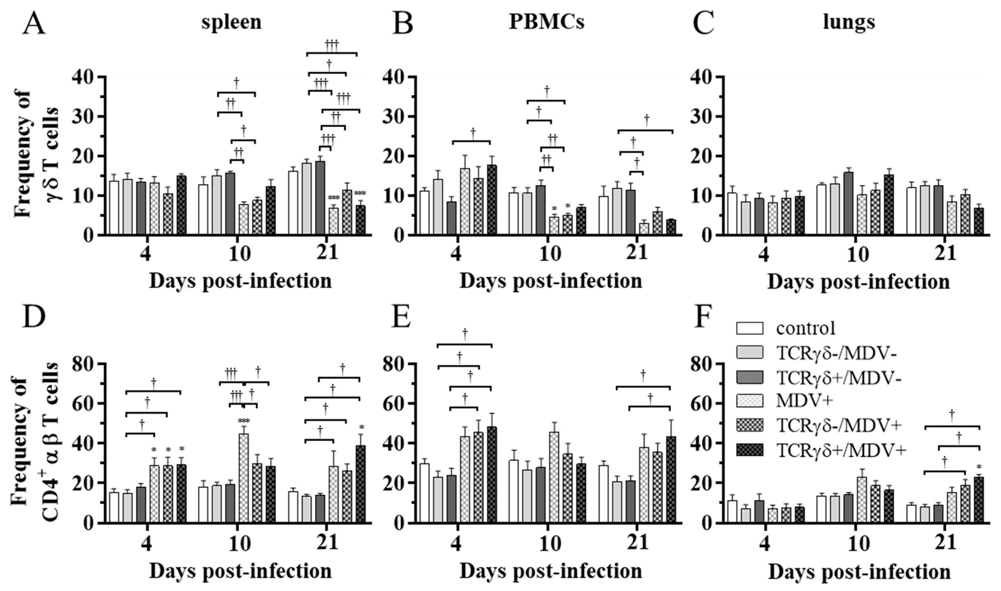 Viruses 15 00285 g006