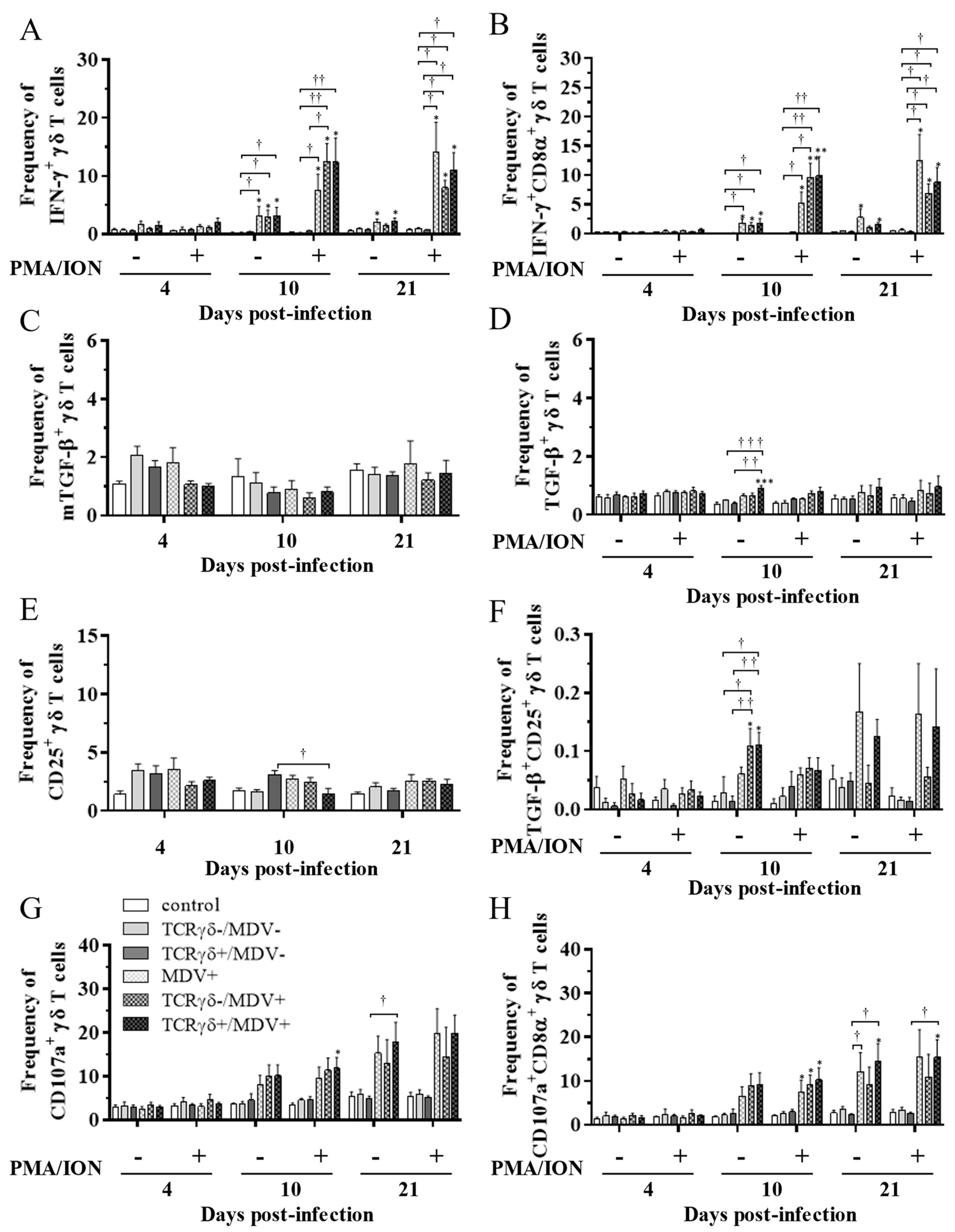 Viruses 15 00285 g008