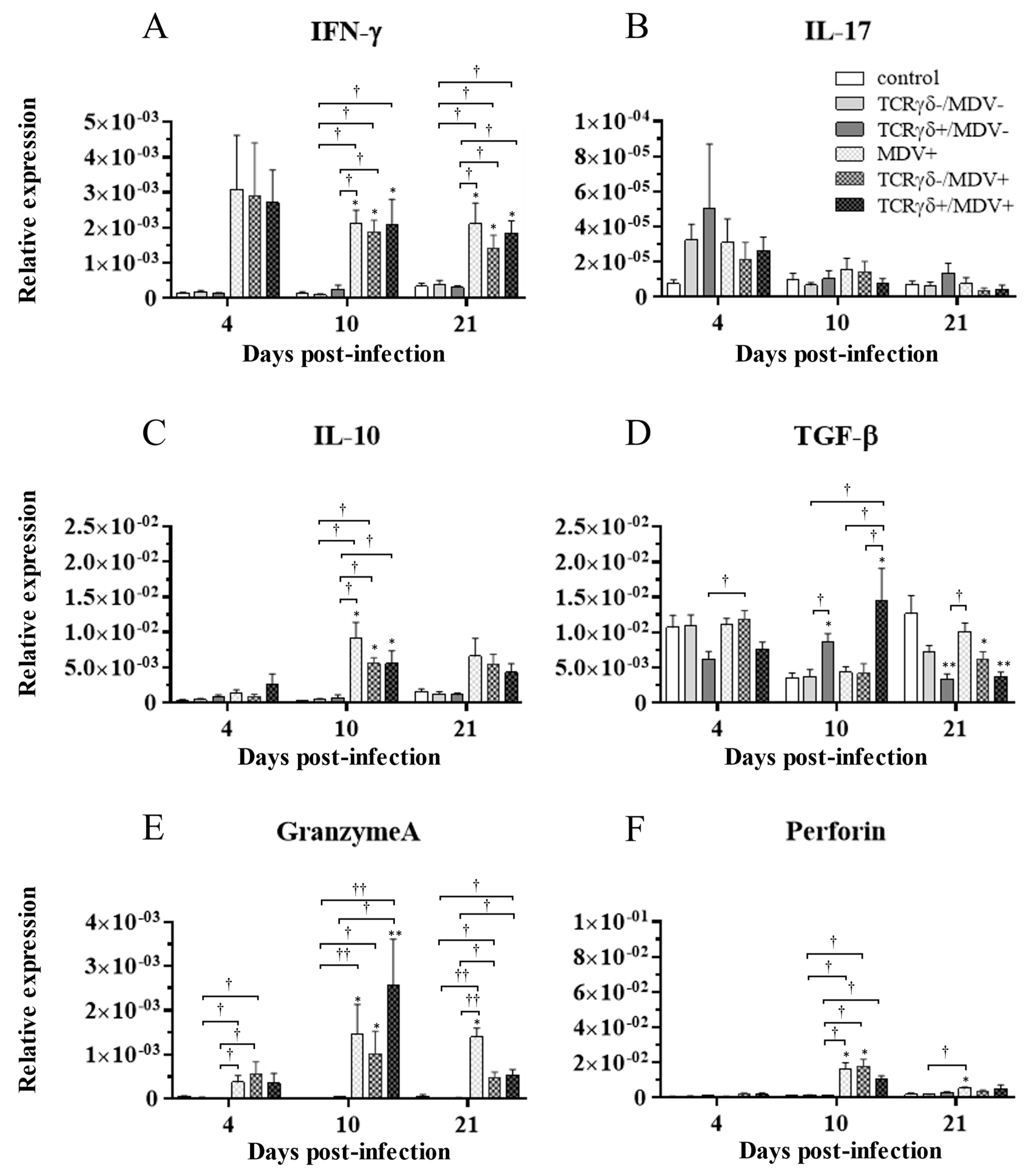 Viruses 15 00285 g012