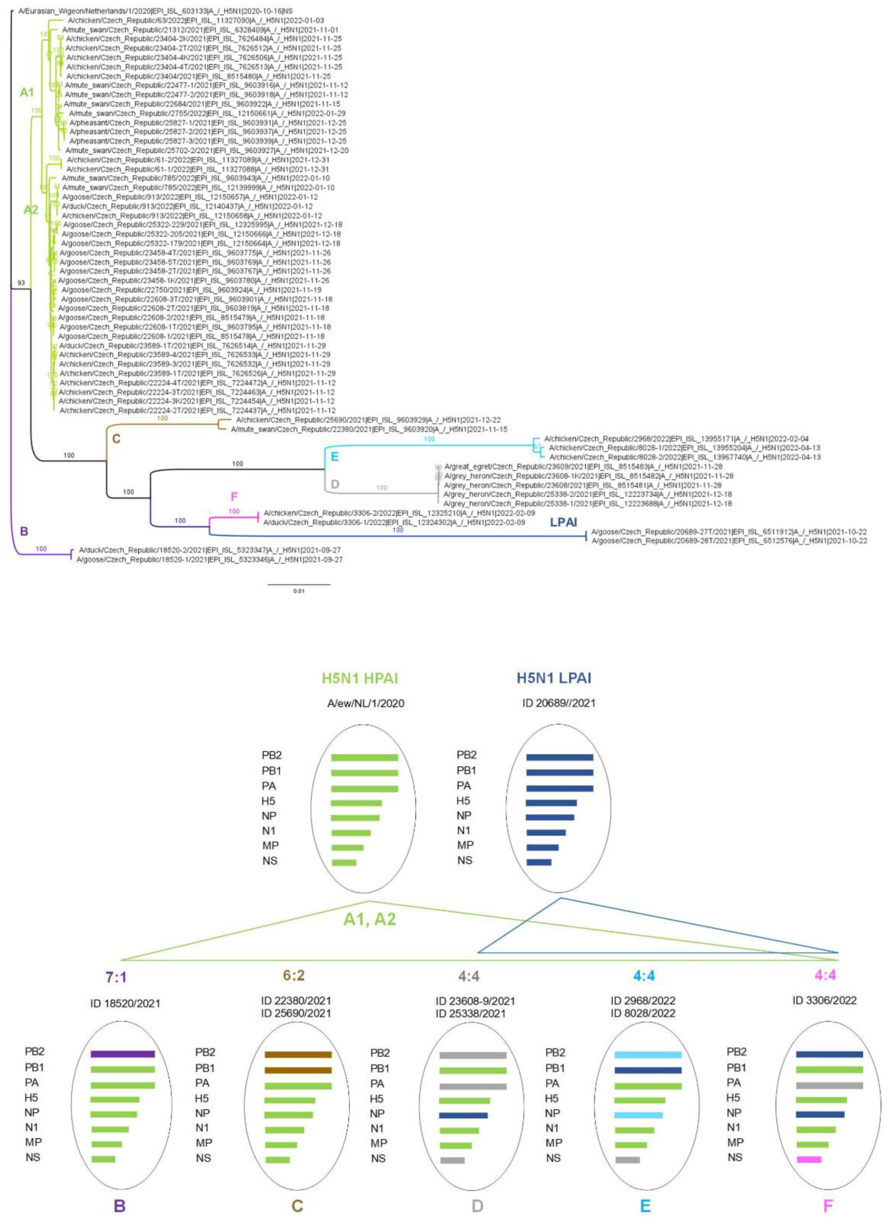 Viruses 15 00293 g003