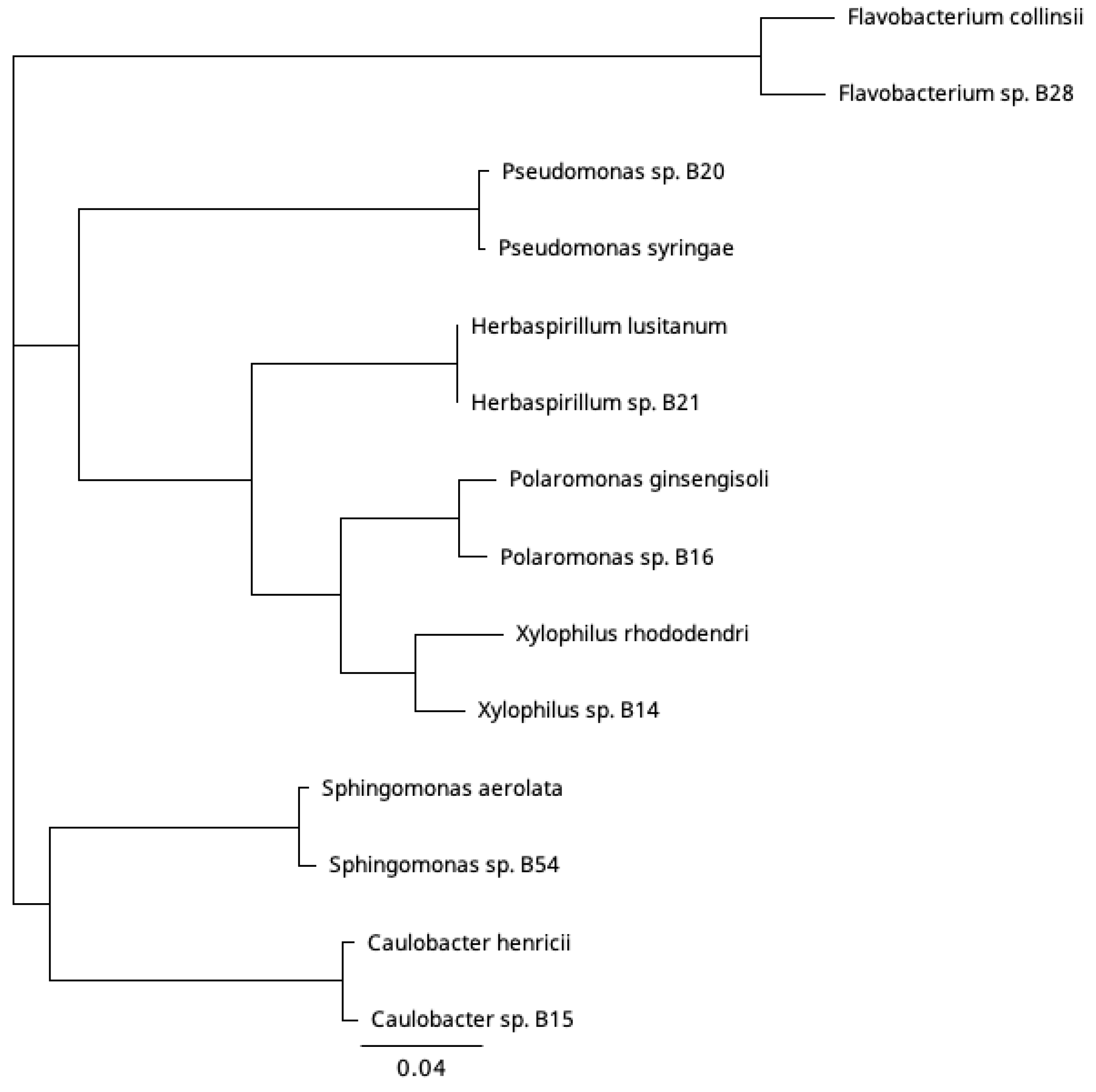 Viruses 15 00307 g002