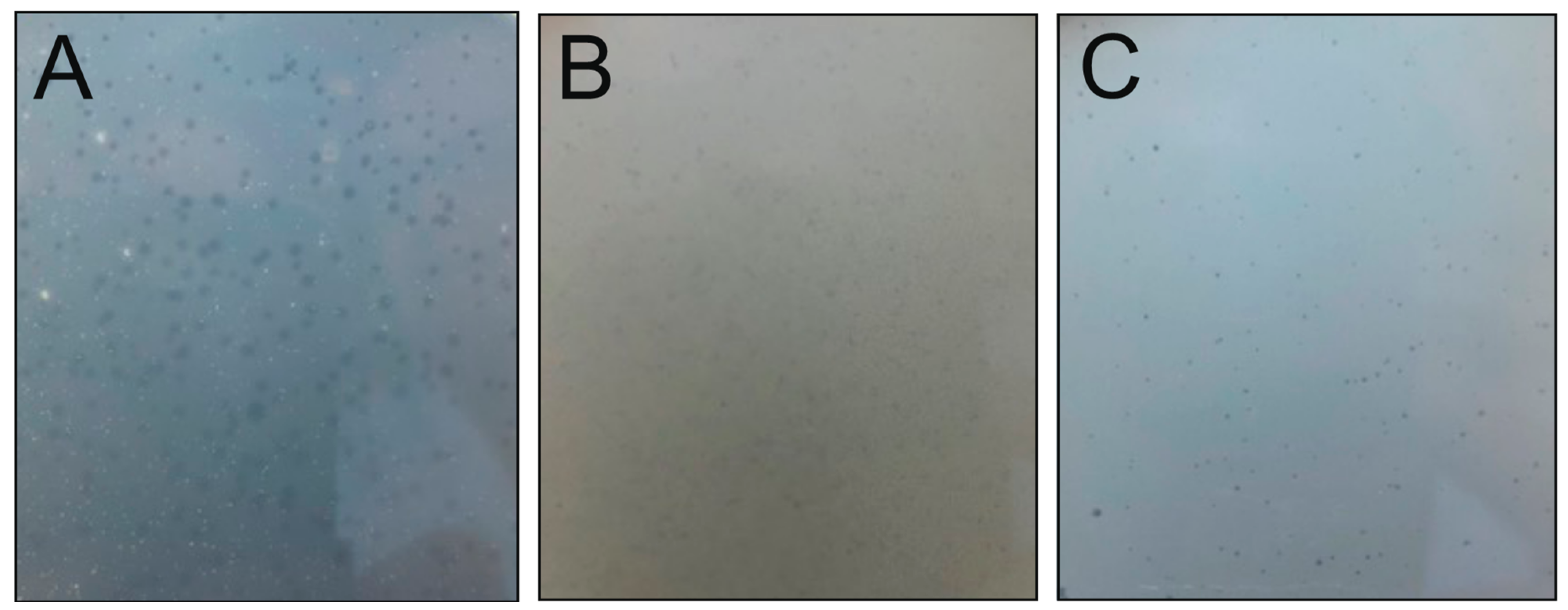 Viruses 15 00307 g003