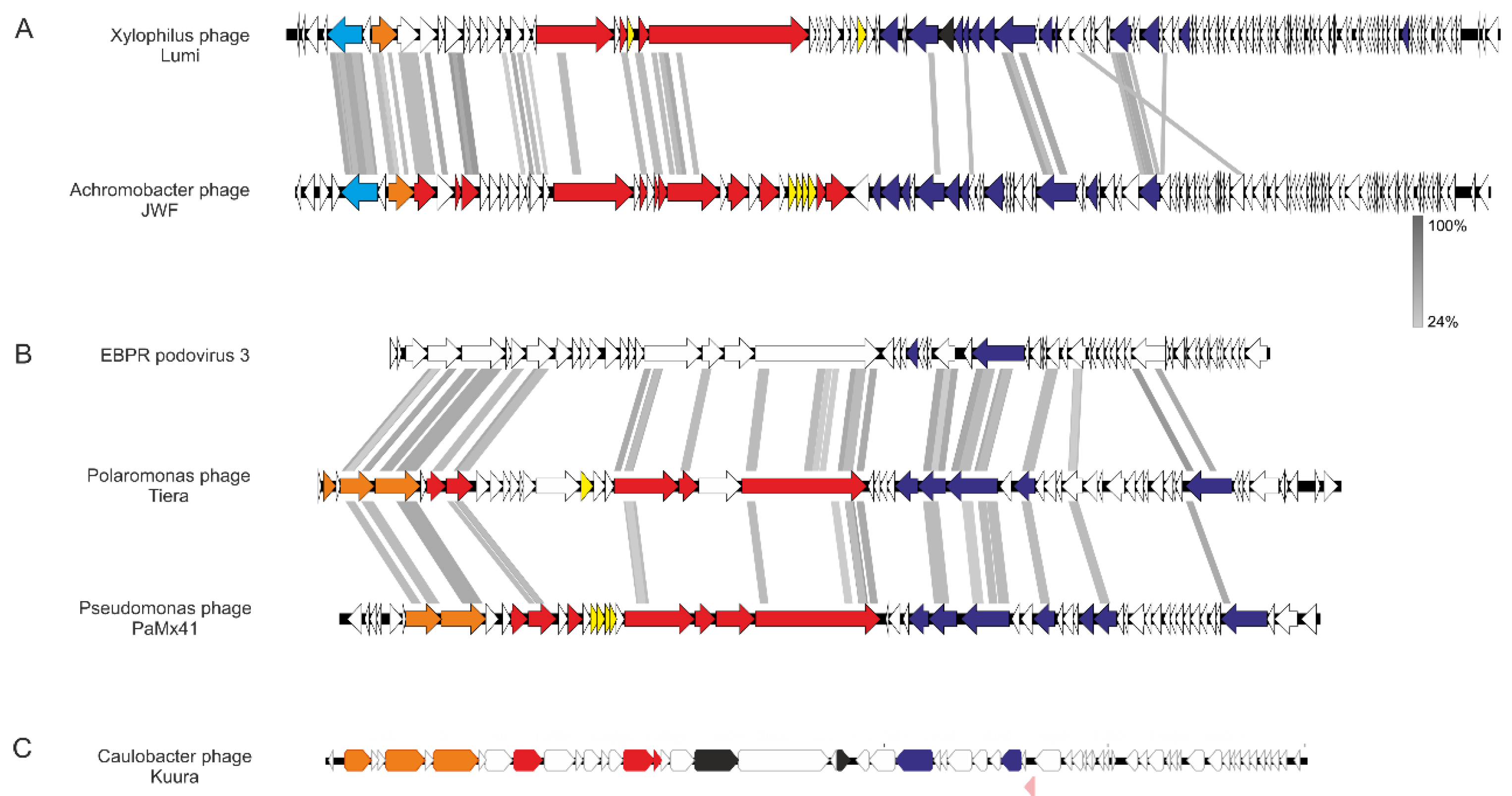Viruses 15 00307 g005