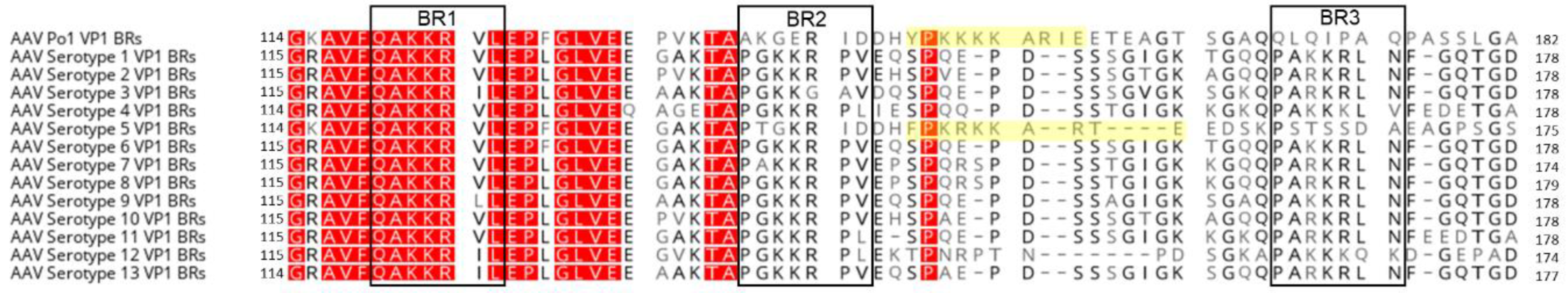 Viruses 15 00315 g001
