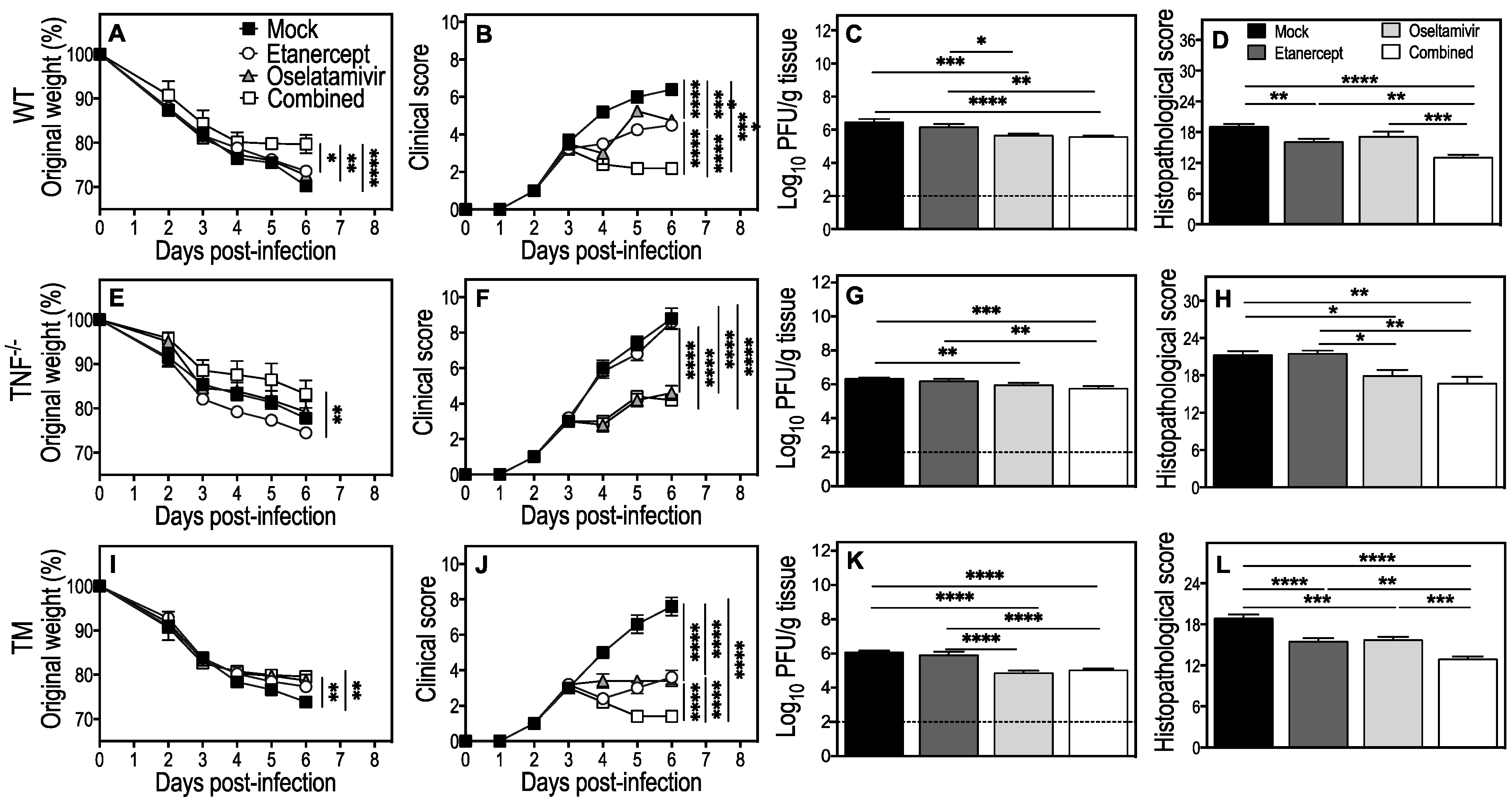 Viruses 15 00318 g002
