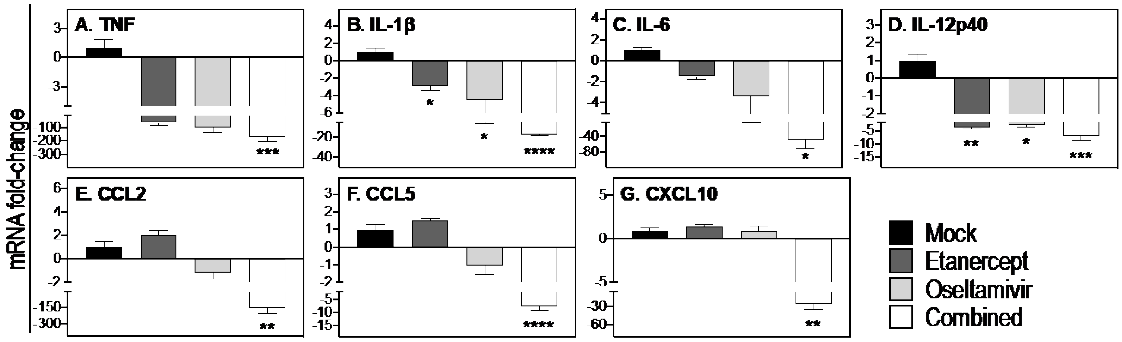 Viruses 15 00318 g004