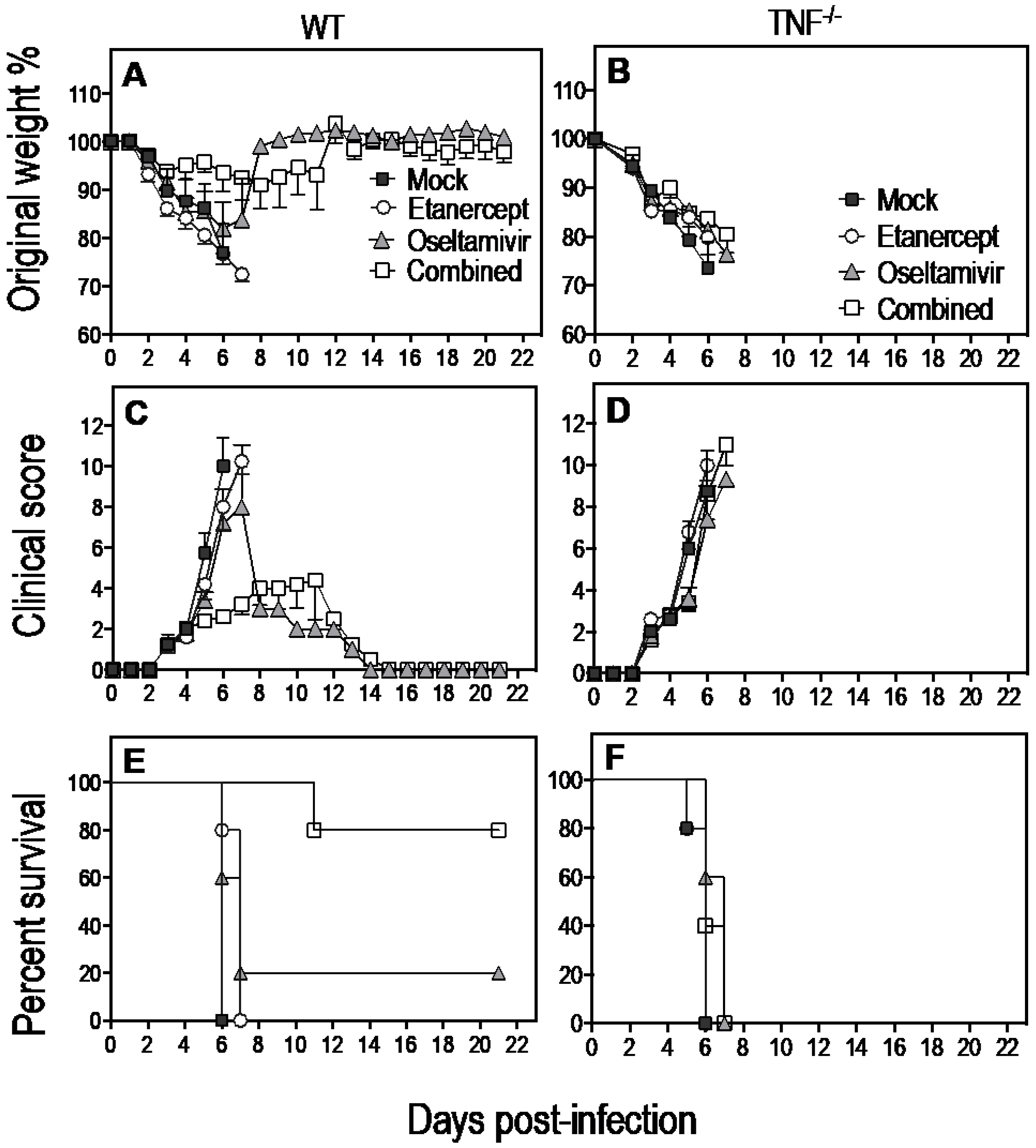Viruses 15 00318 g005