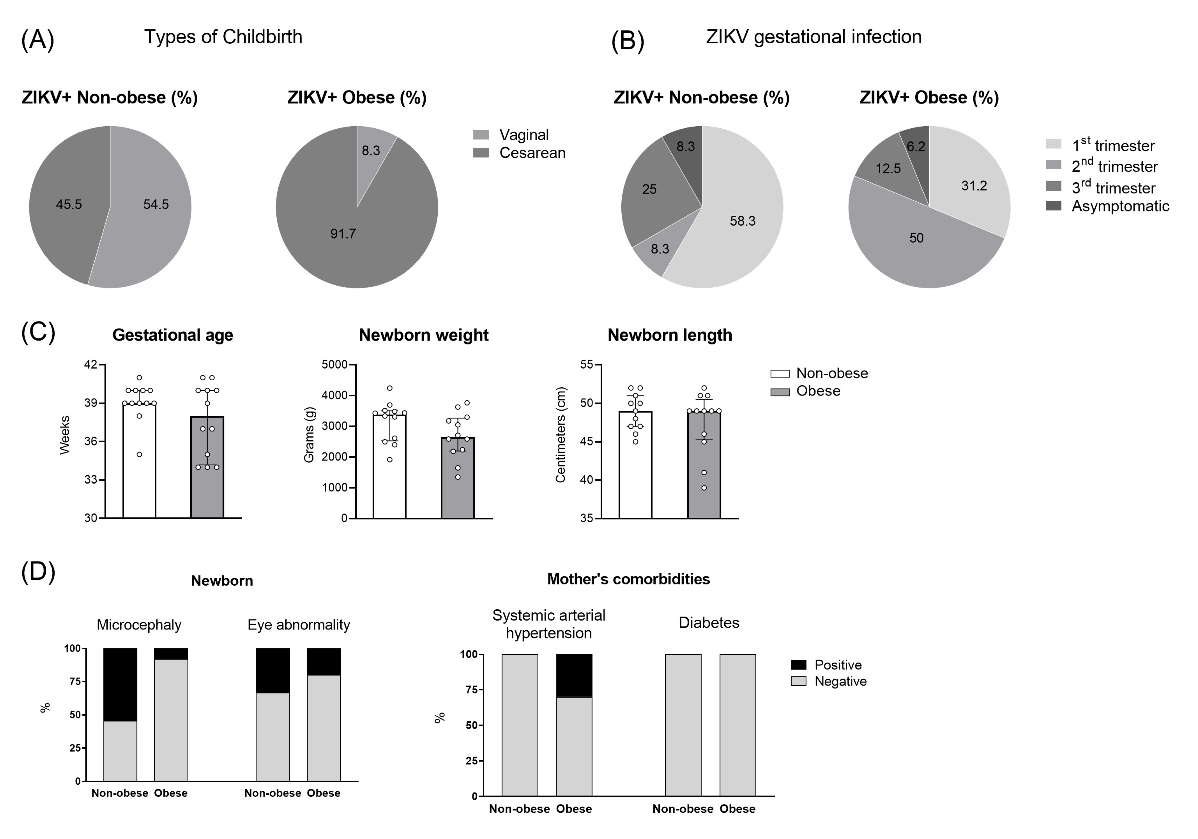 Viruses 15 00320 g003