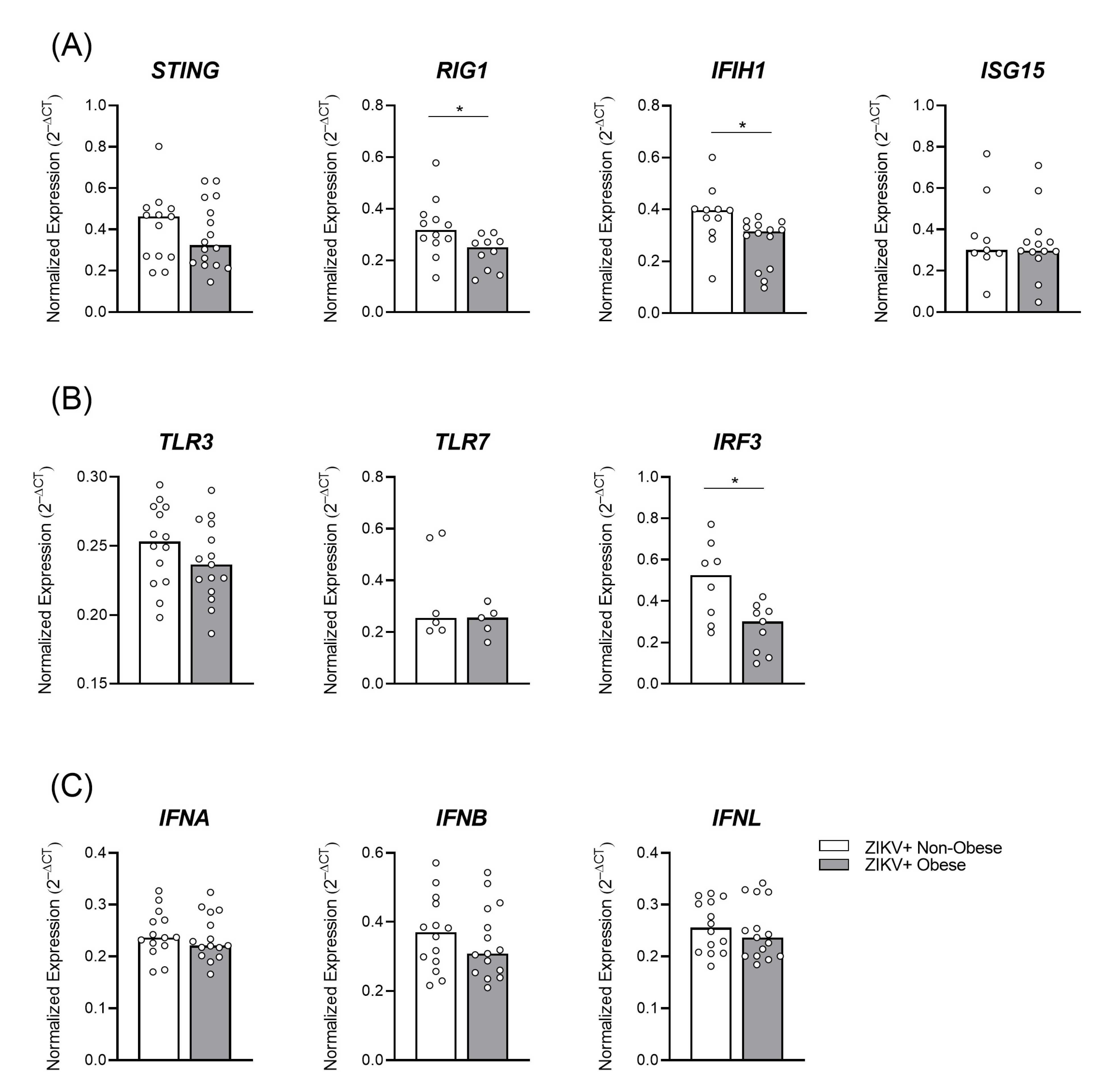 Viruses 15 00320 g004
