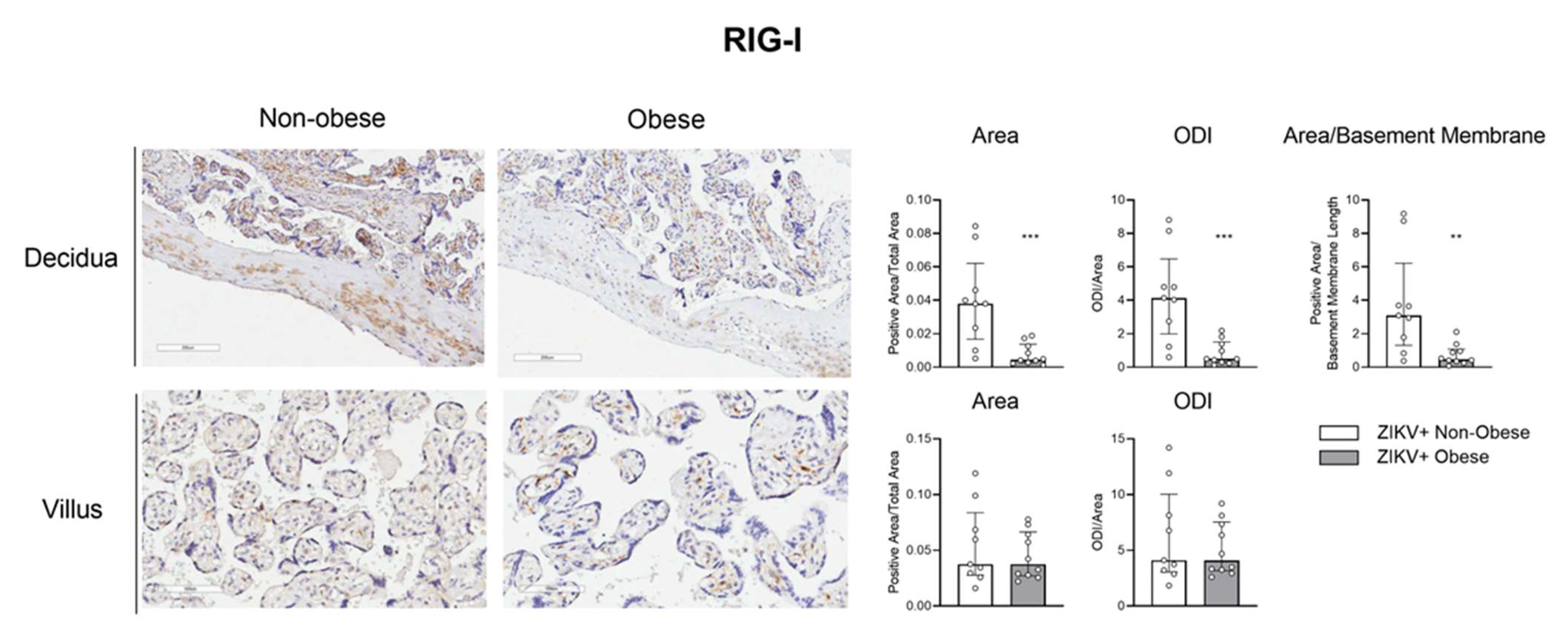 Viruses 15 00320 g005