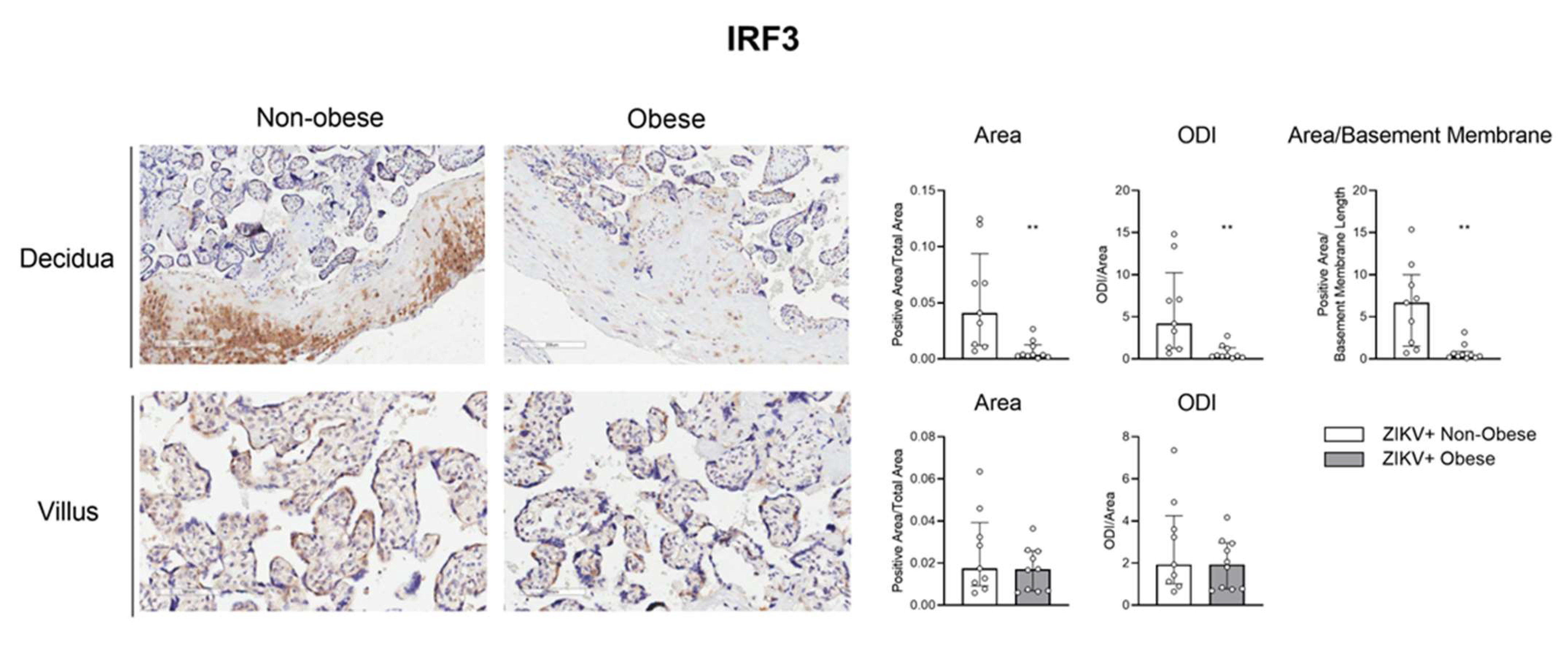 Viruses 15 00320 g006