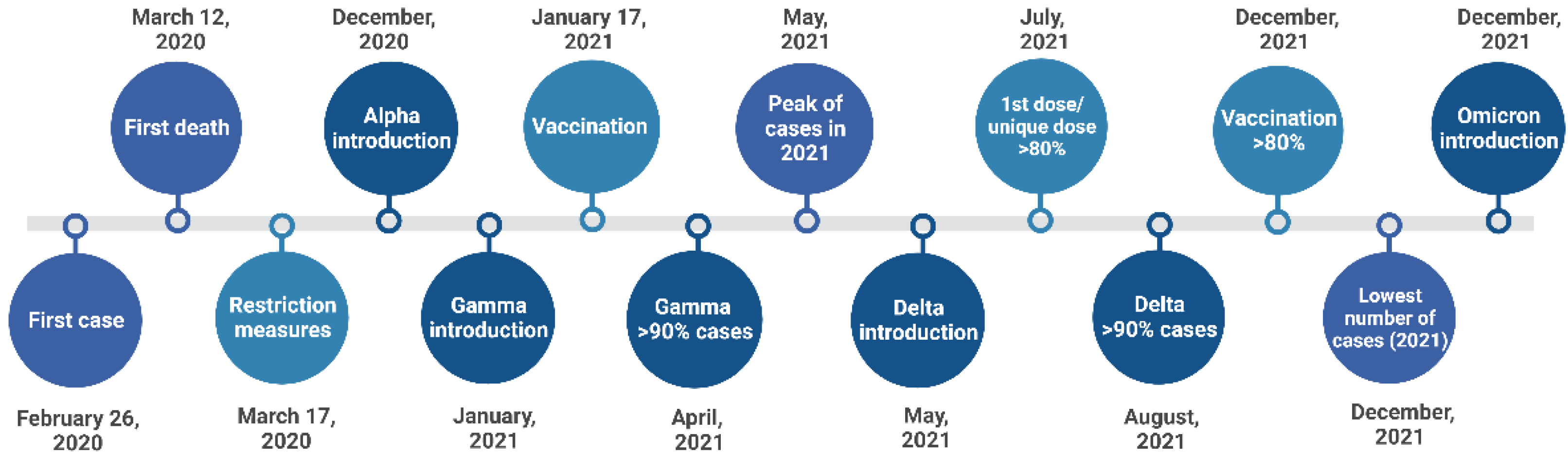 Viruses 15 00327 g001