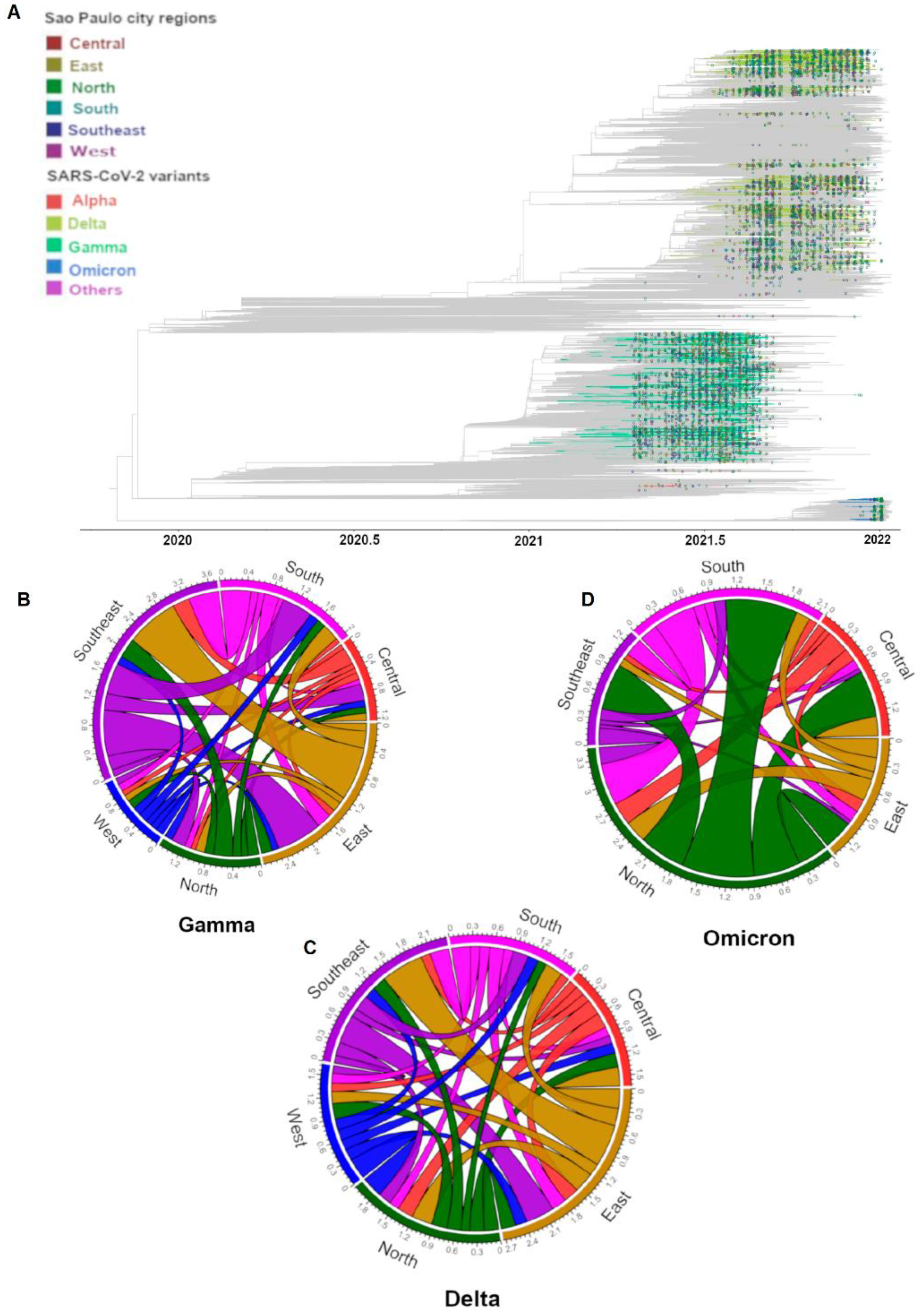 Viruses 15 00327 g003