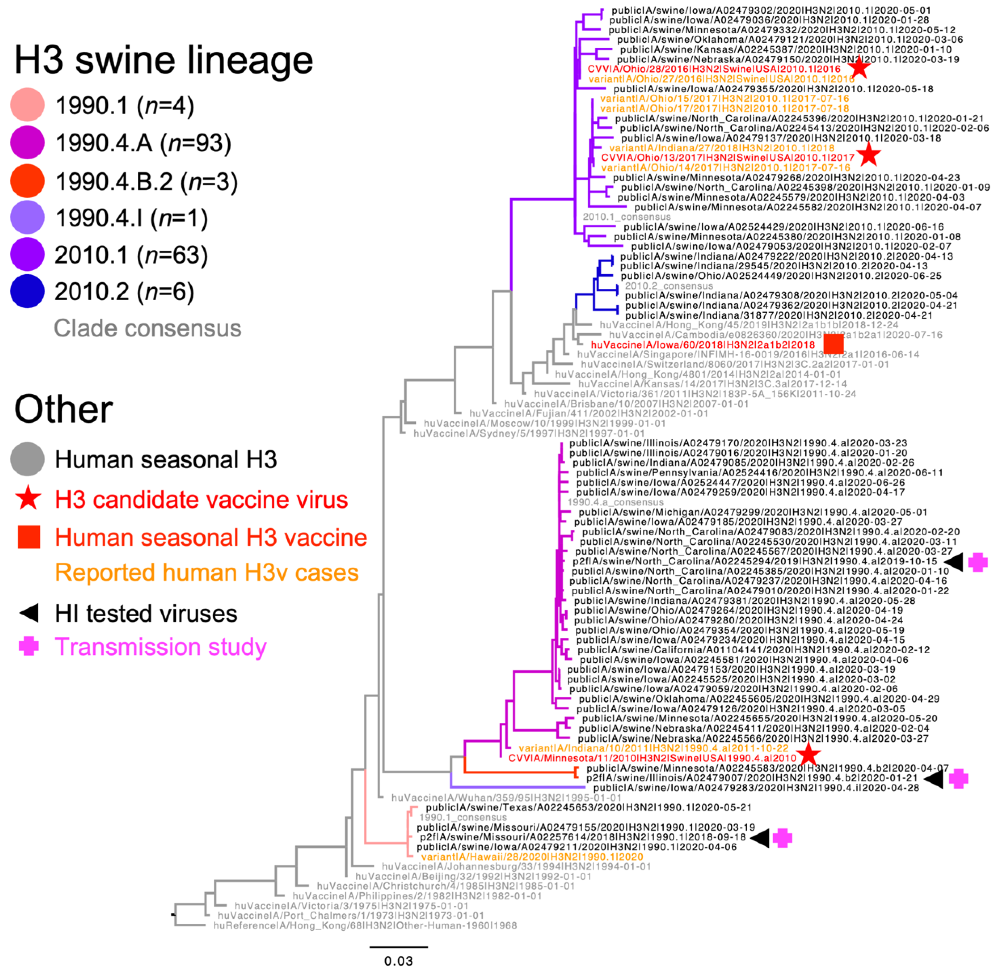 Viruses 15 00331 g001