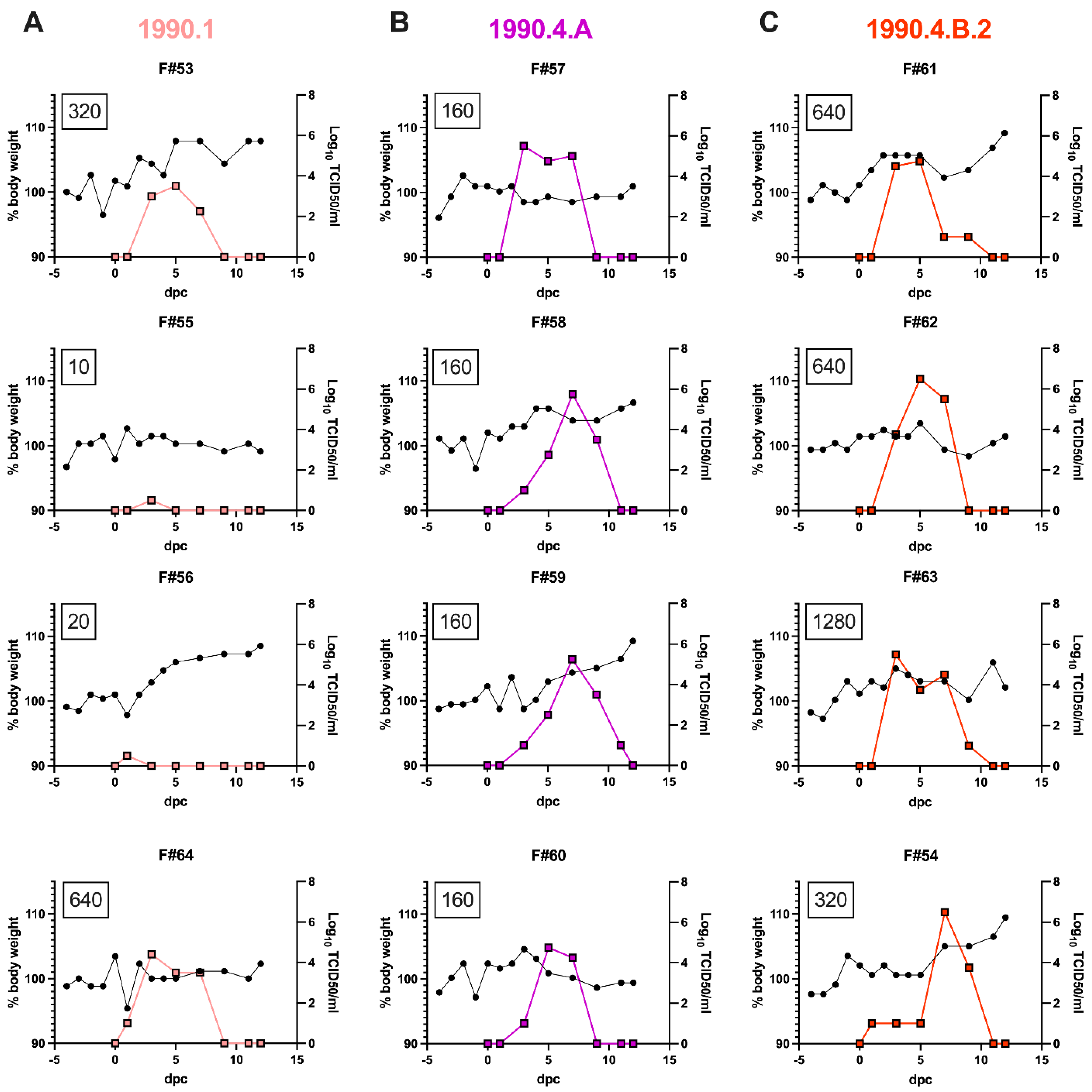 Viruses 15 00331 g003