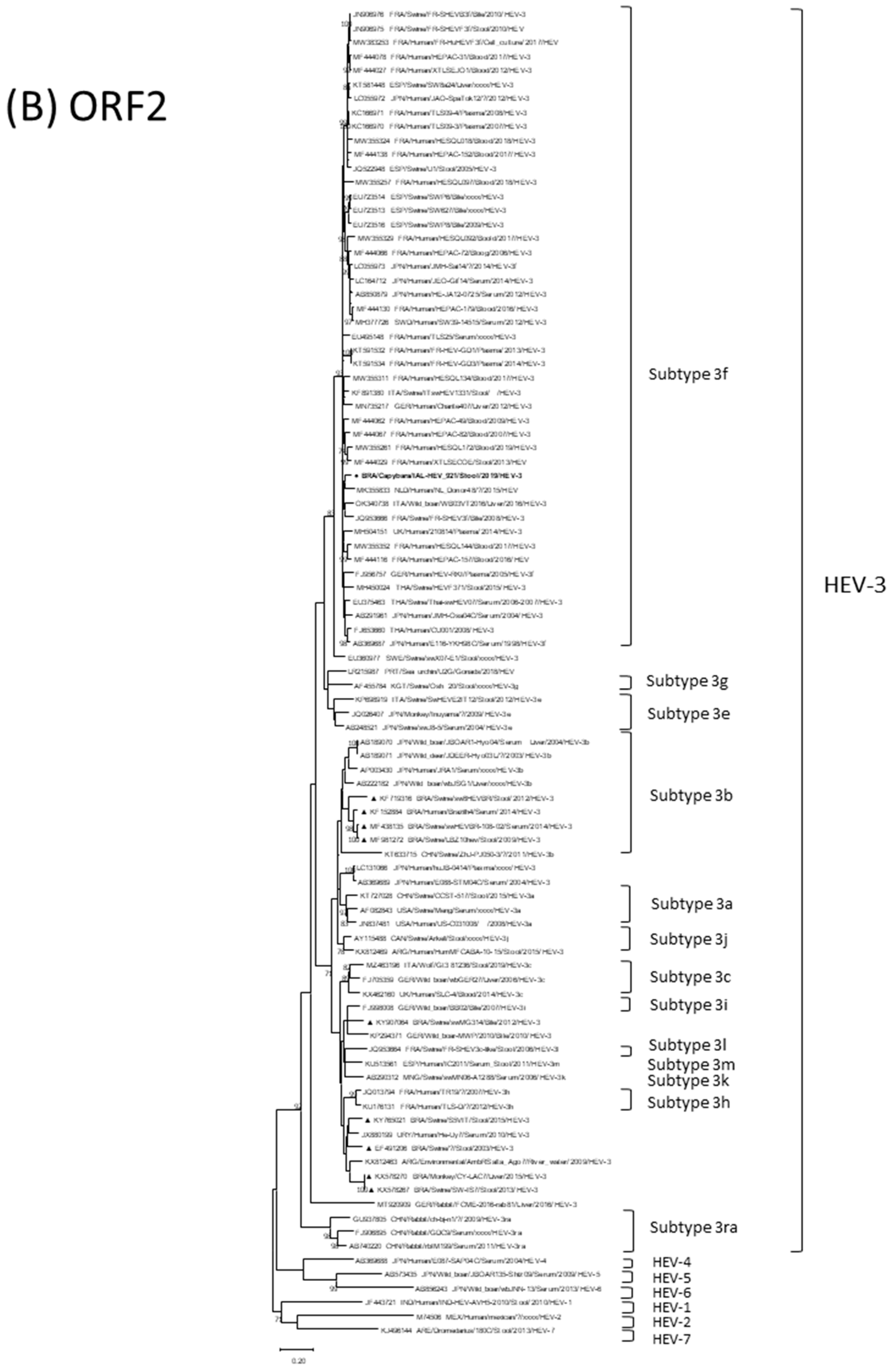 Viruses 15 00335 g001b Viruses 15 00335 g001b