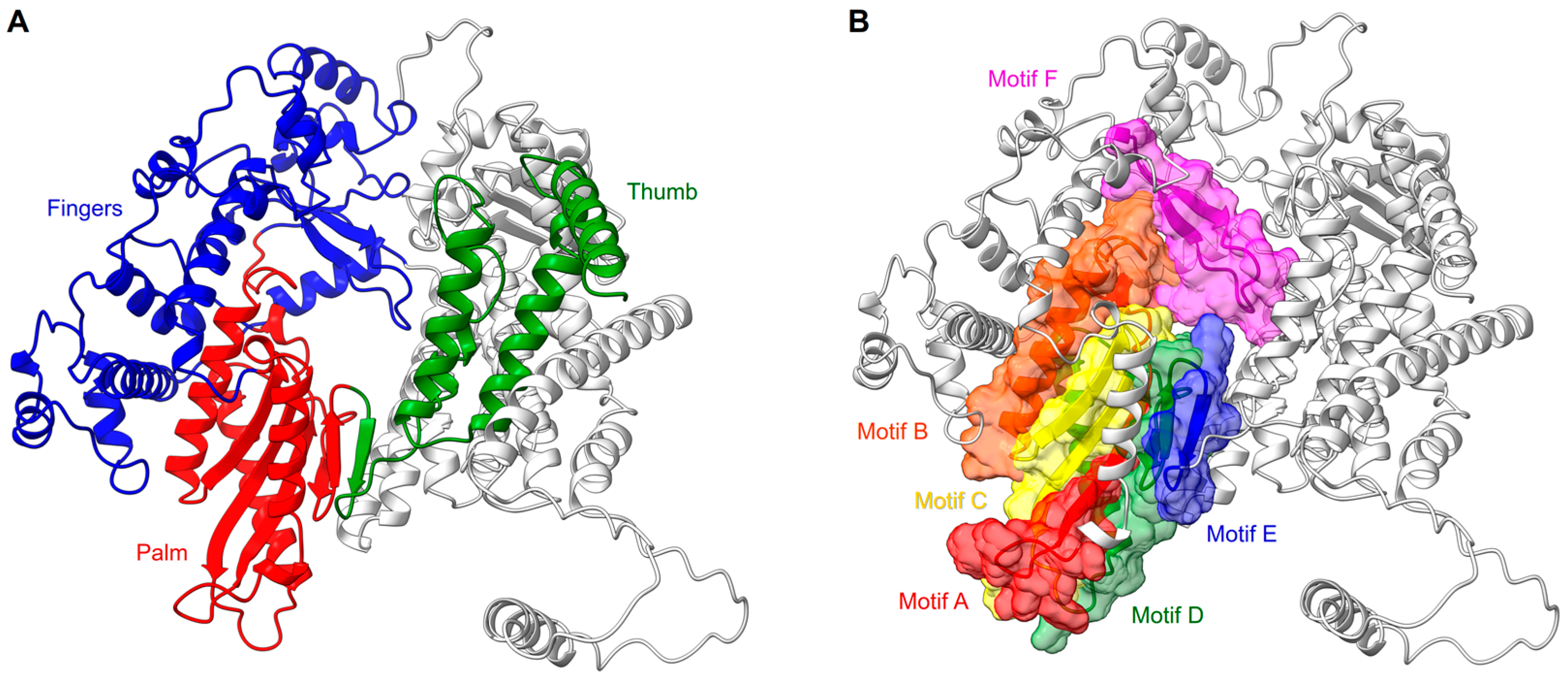 Viruses 15 00341 g002 Viruses 15 00341 g002