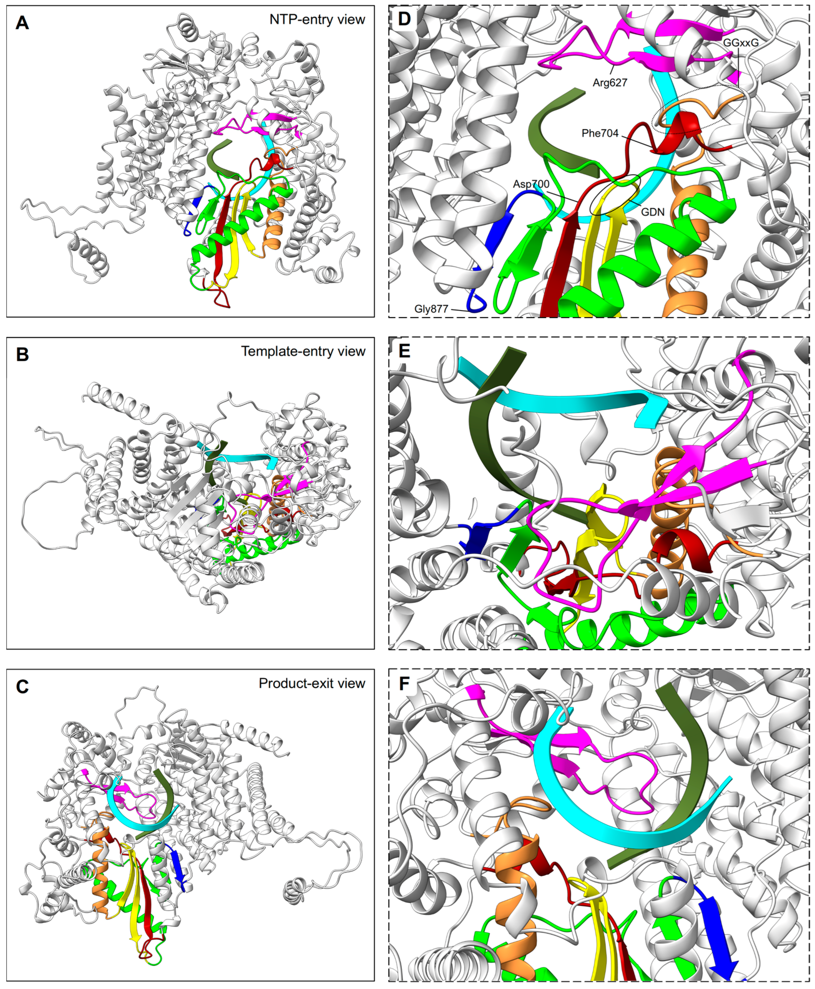 Viruses 15 00341 g003 Viruses 15 00341 g003