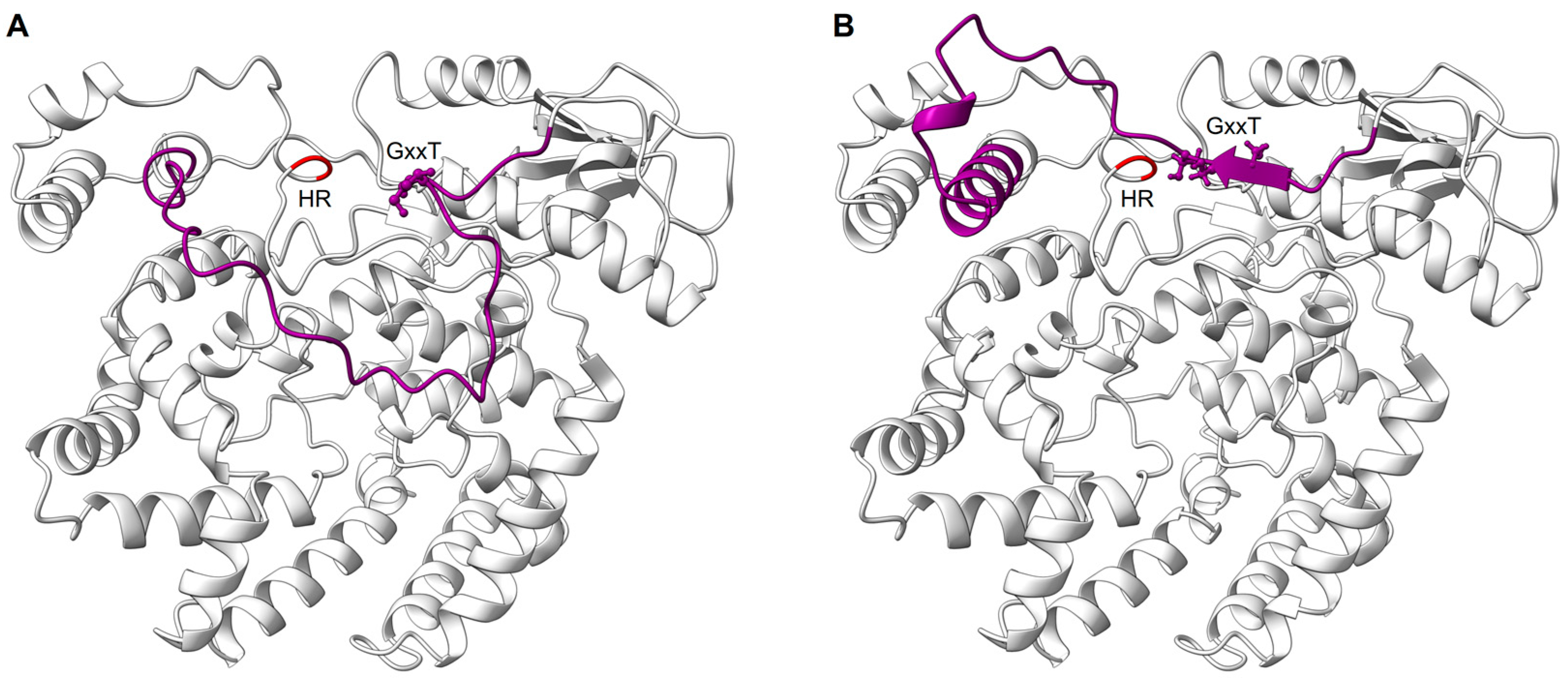 Viruses 15 00341 g006 Viruses 15 00341 g006