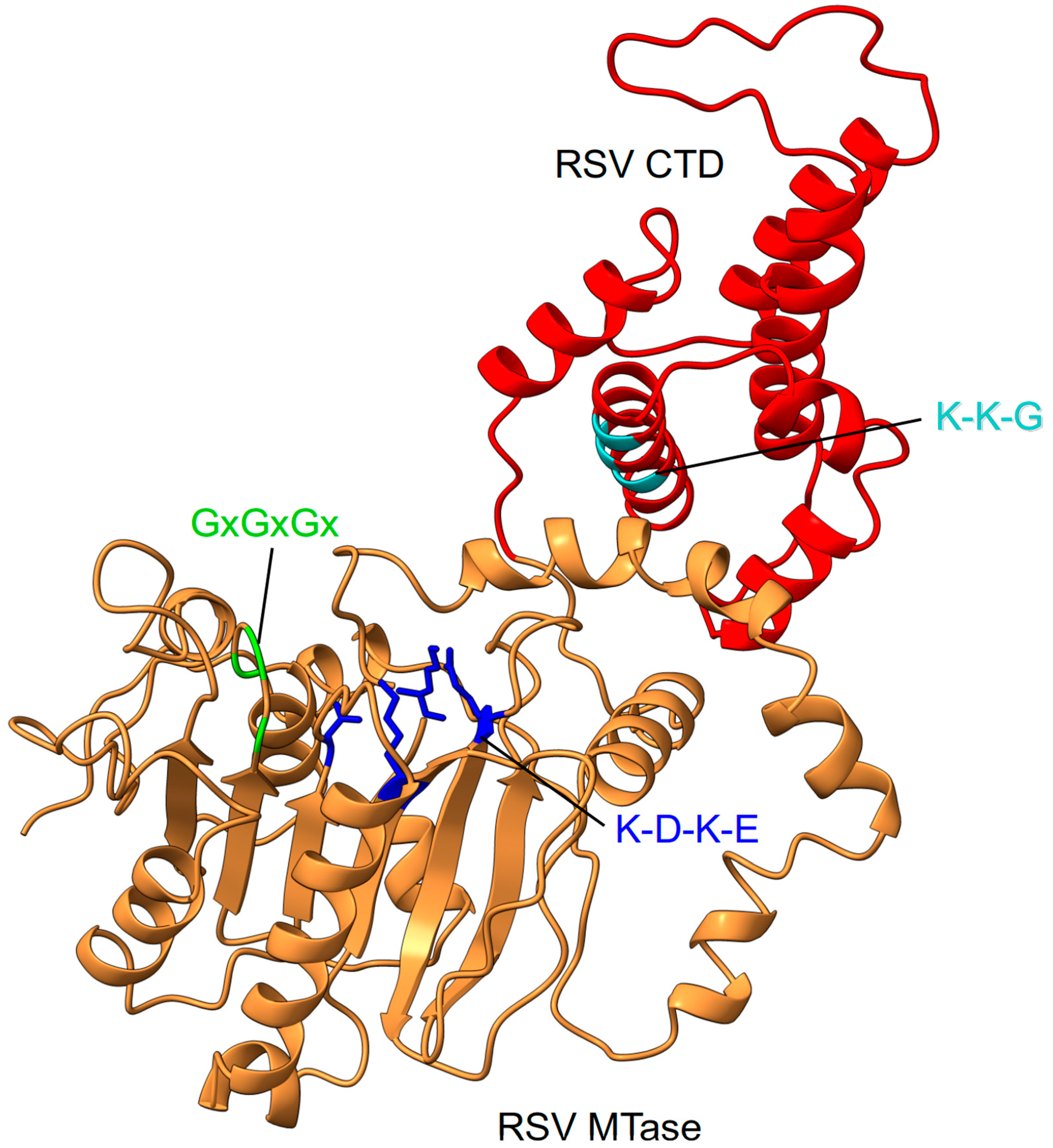 Viruses 15 00341 g007 Viruses 15 00341 g007