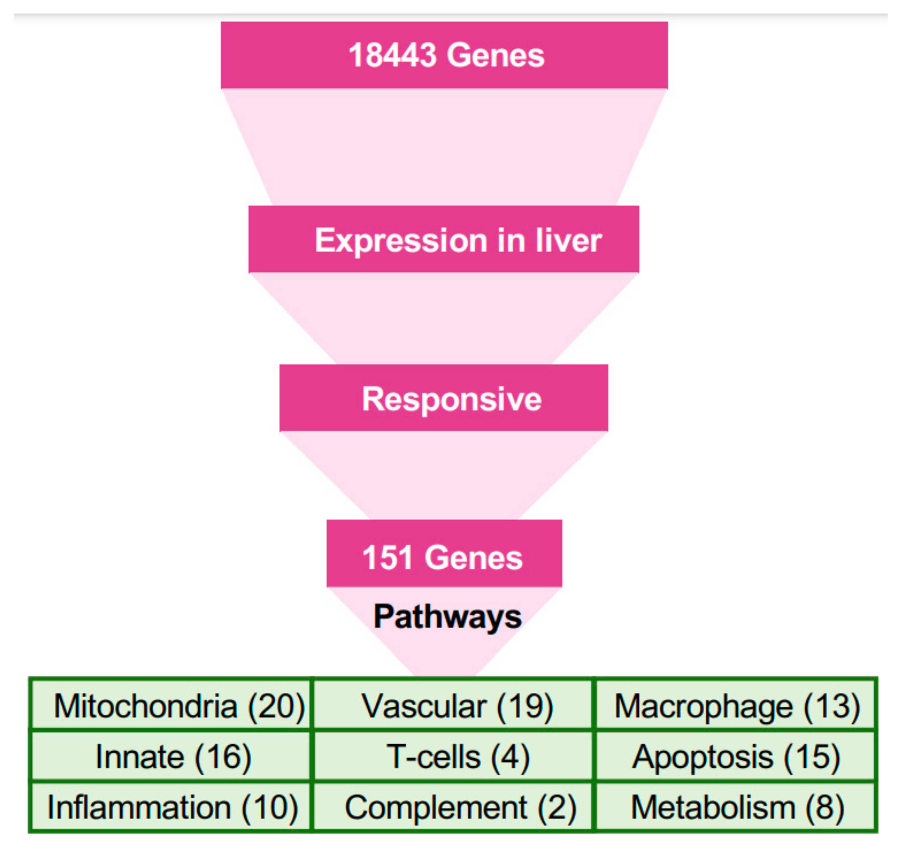 Viruses 15 00350 g003