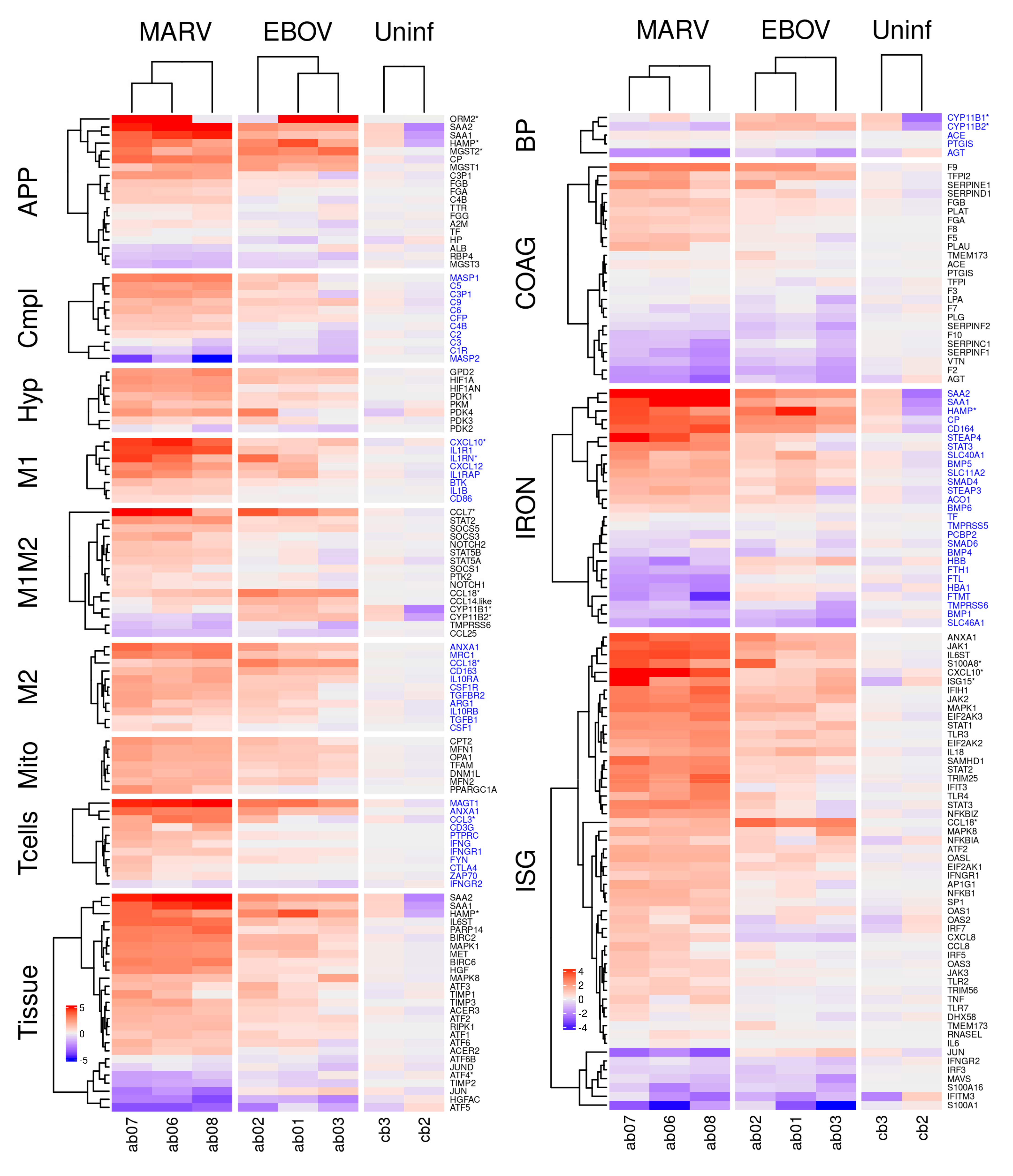 Viruses 15 00350 g004