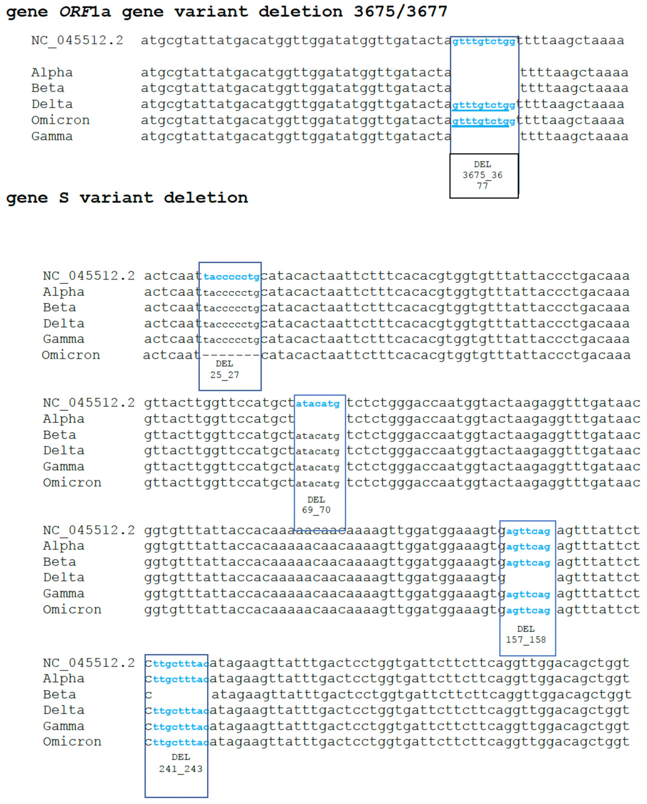 Viruses 15 00353 g001